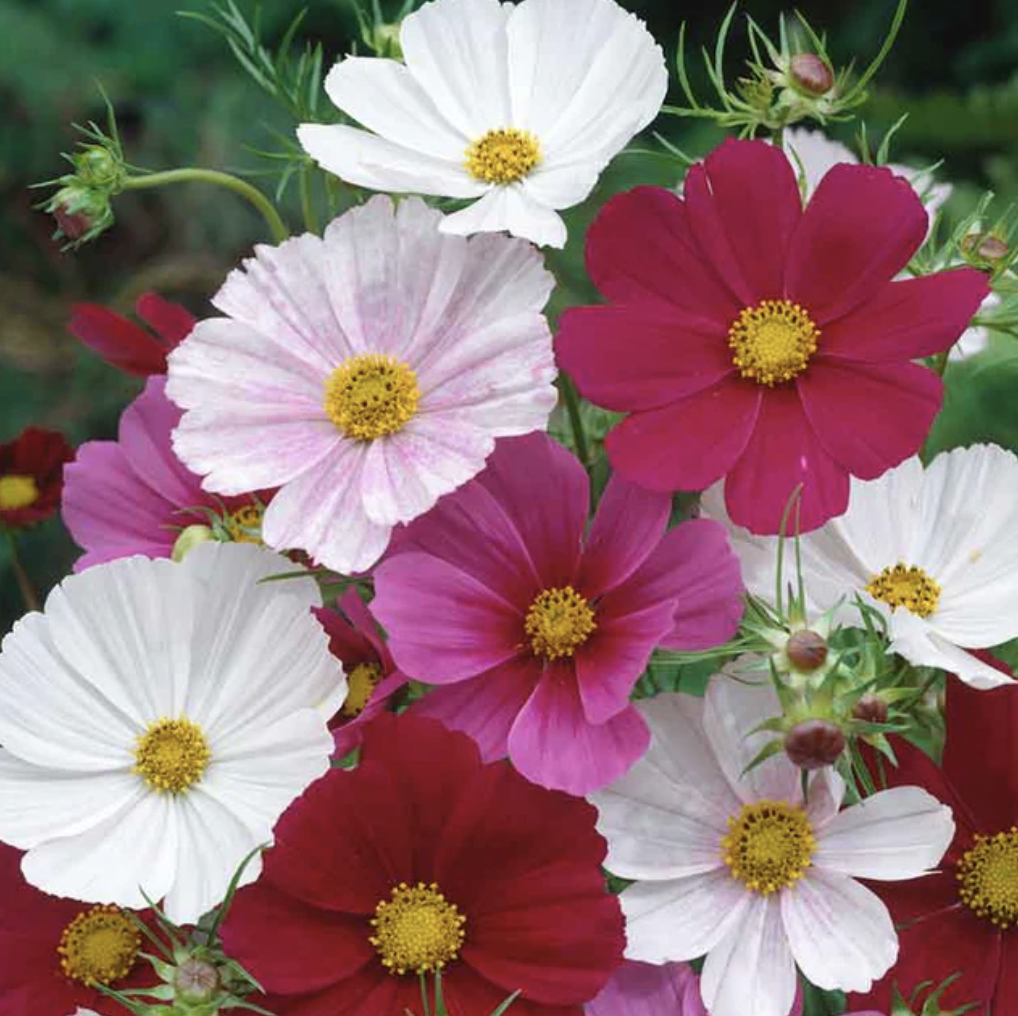 Screenshot 2026-03-23 at 12.05.45 PM.png