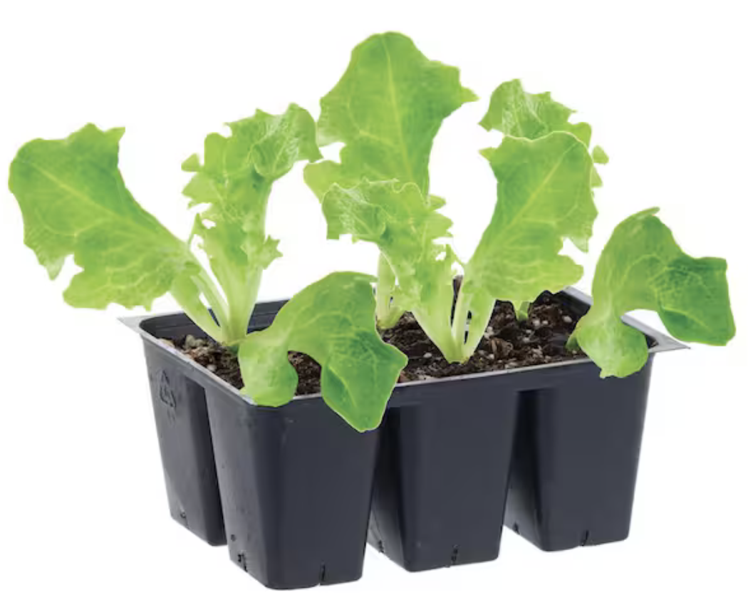 Screenshot 2026-03-23 at 4.31.22 PM.png