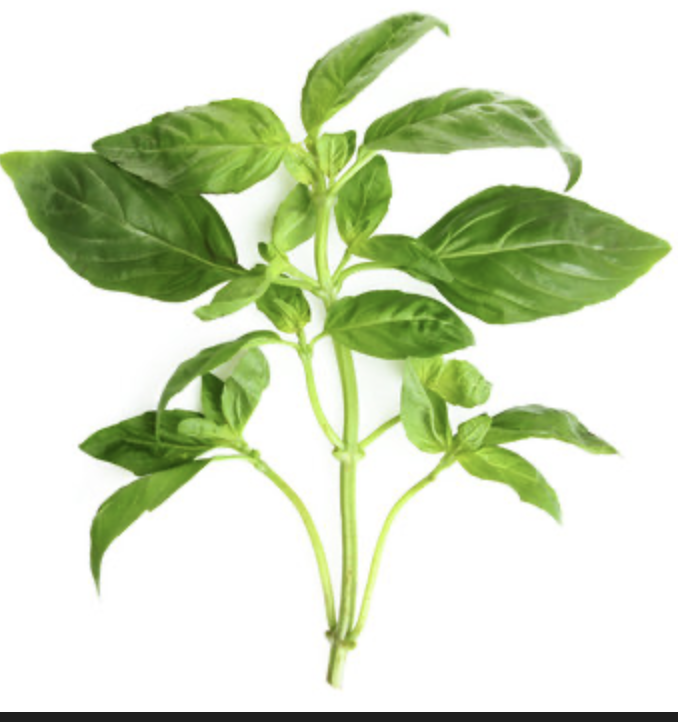 Screenshot 2026-03-23 at 4.41.03 PM.png