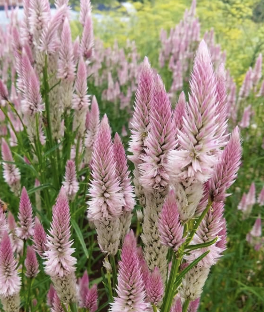 Screenshot 2026-03-23 at 12.07.00 PM.png