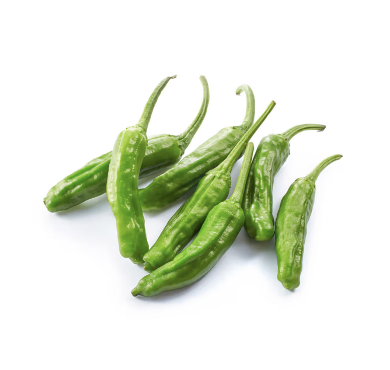 Screenshot 2026-03-23 at 4.33.50 PM.png