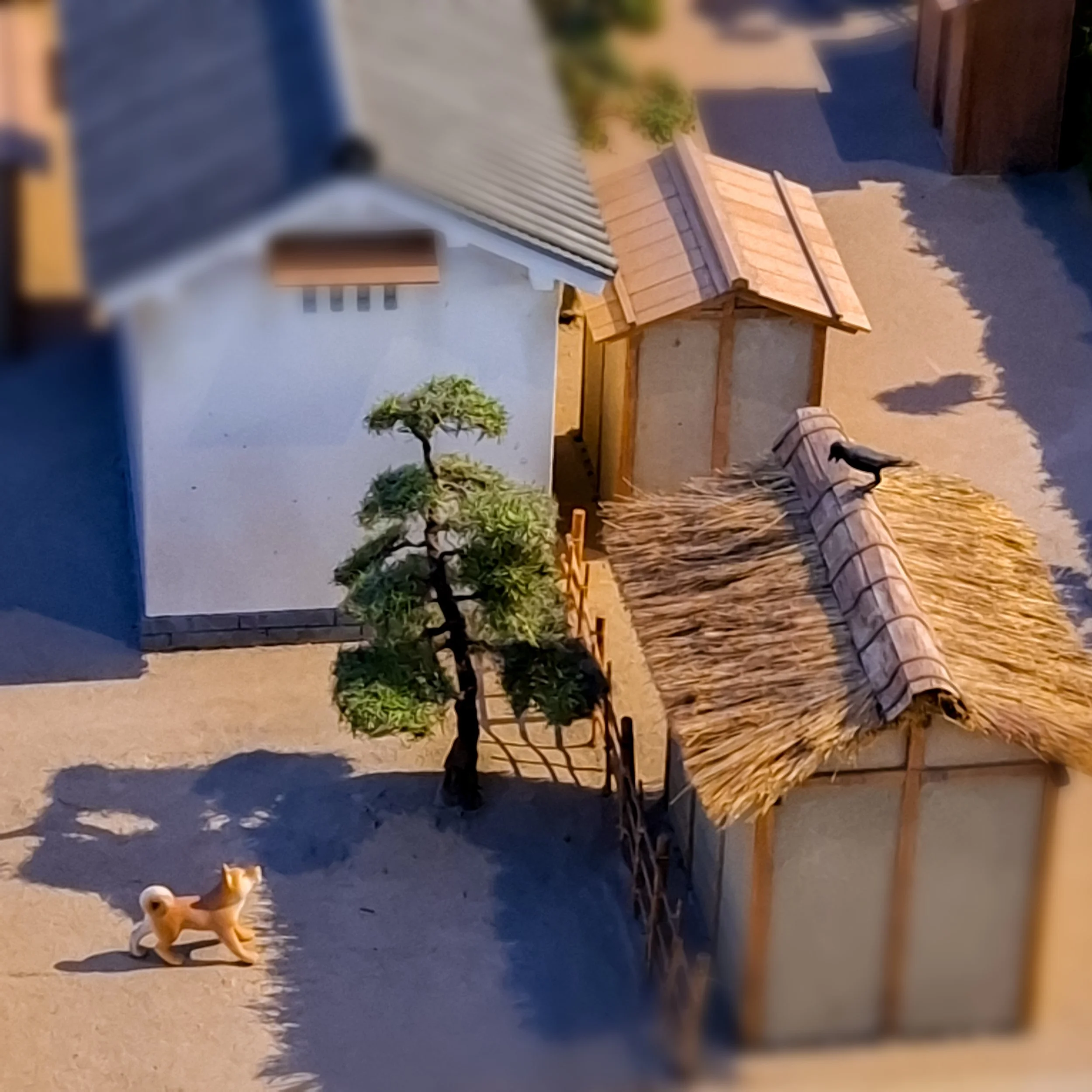 inu vs karasu