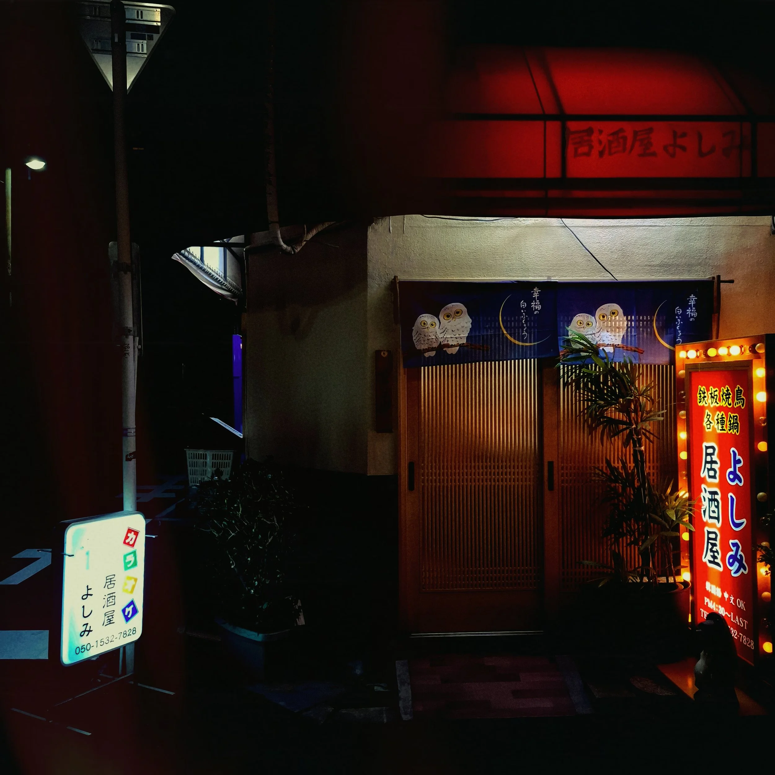 night owl karaoke