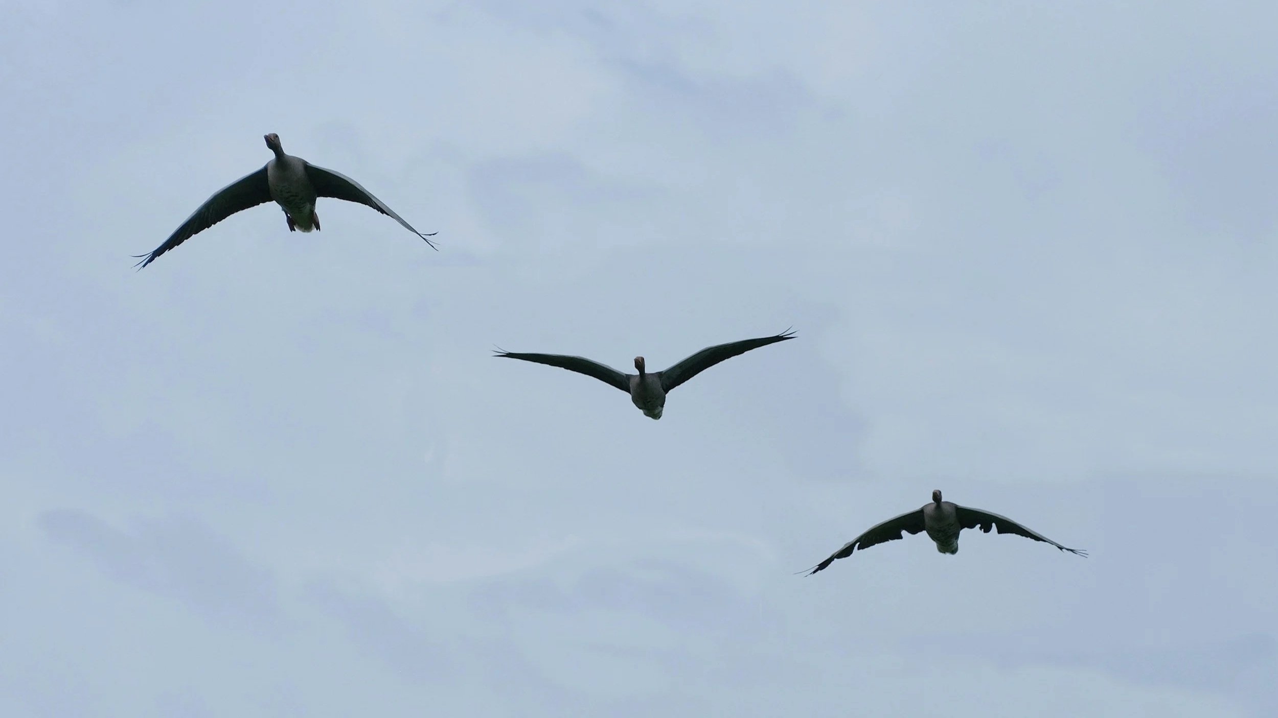 Hiring an Admin: Where to Start 