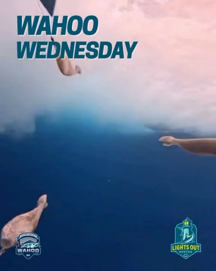 Wahoo Wednesday 🦓🦓🦓

@lightsoutbostonac
@sfcinsider
@sportfishingchampionship
@lightsout62 
@jbtackle
@gemluxfishing
@vikingyachtcompany
@saltyoffshore

#ifyoubiteyouride 
#fishing
#sportfishing
#marlin
#had