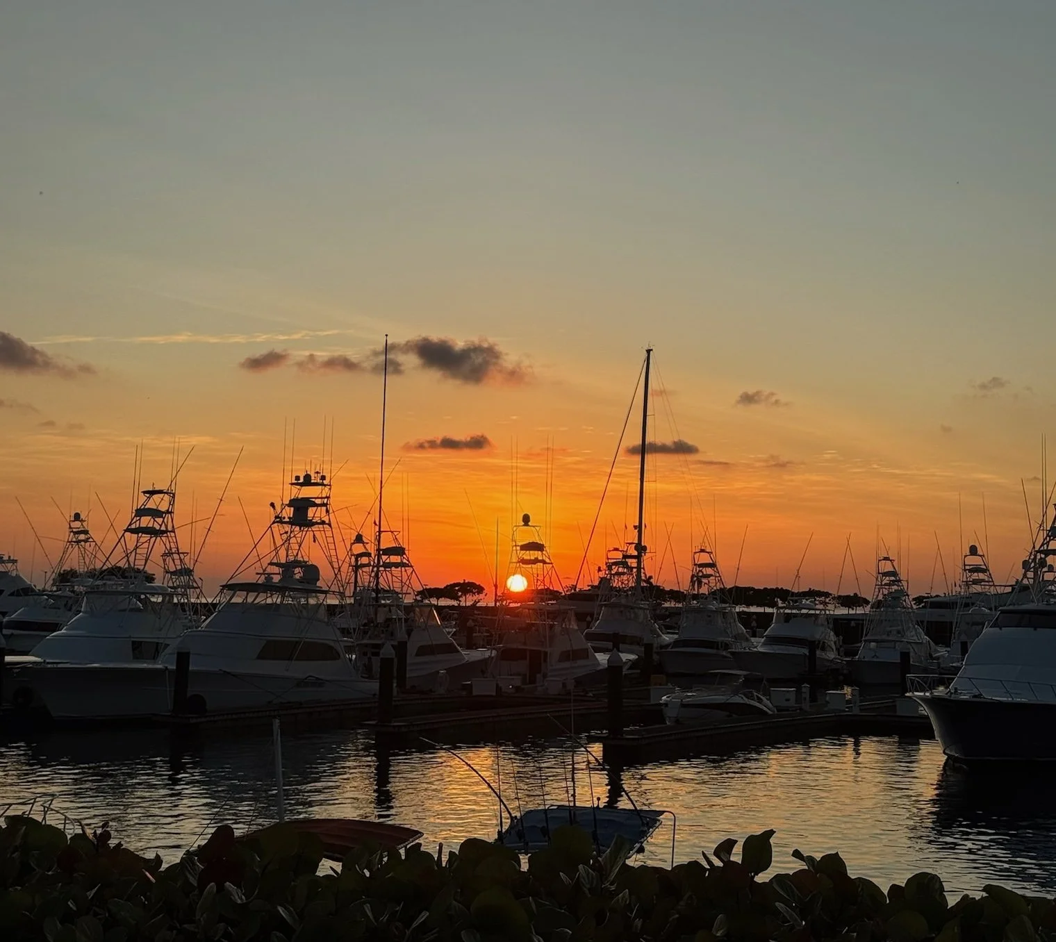 The Bite Is On in Costa Rica, and Lights Out Boston Has Been Living It