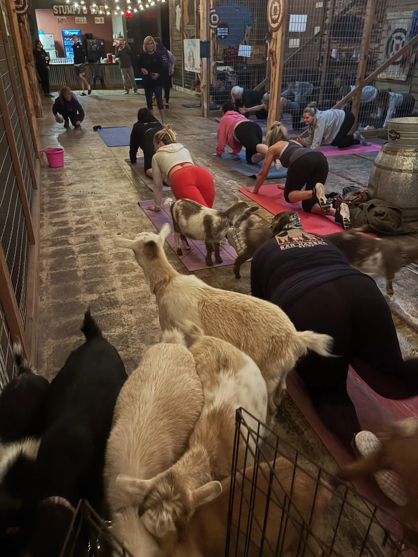 Thank you to @ducatokaren and @pony.parties for helping us host our Goat Yoga event this morning for @eriecancerwellnesscenter!