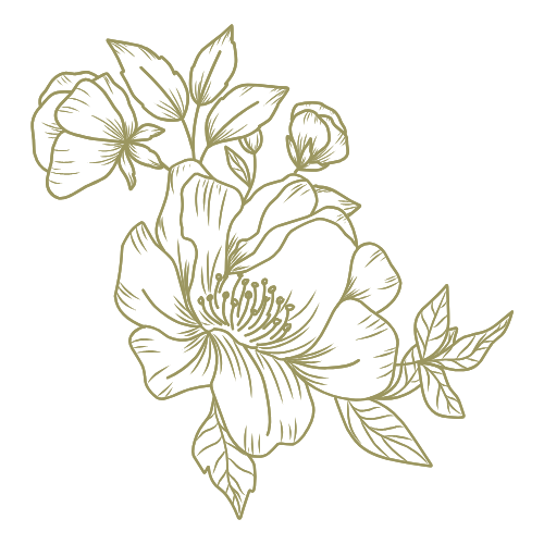 Gold outline drawing of a flowering plant with leaves on a black background.