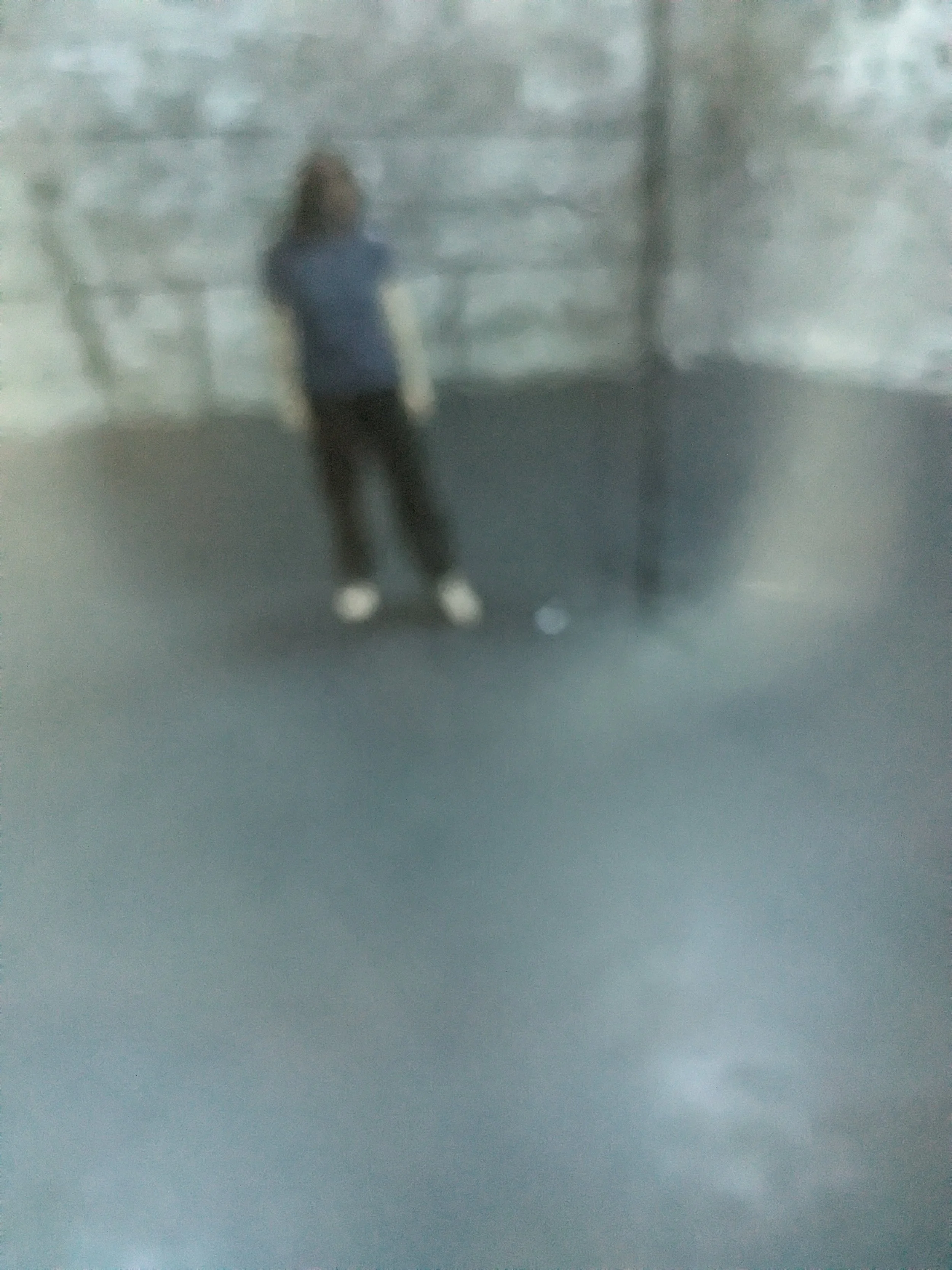 1000020509.jpg