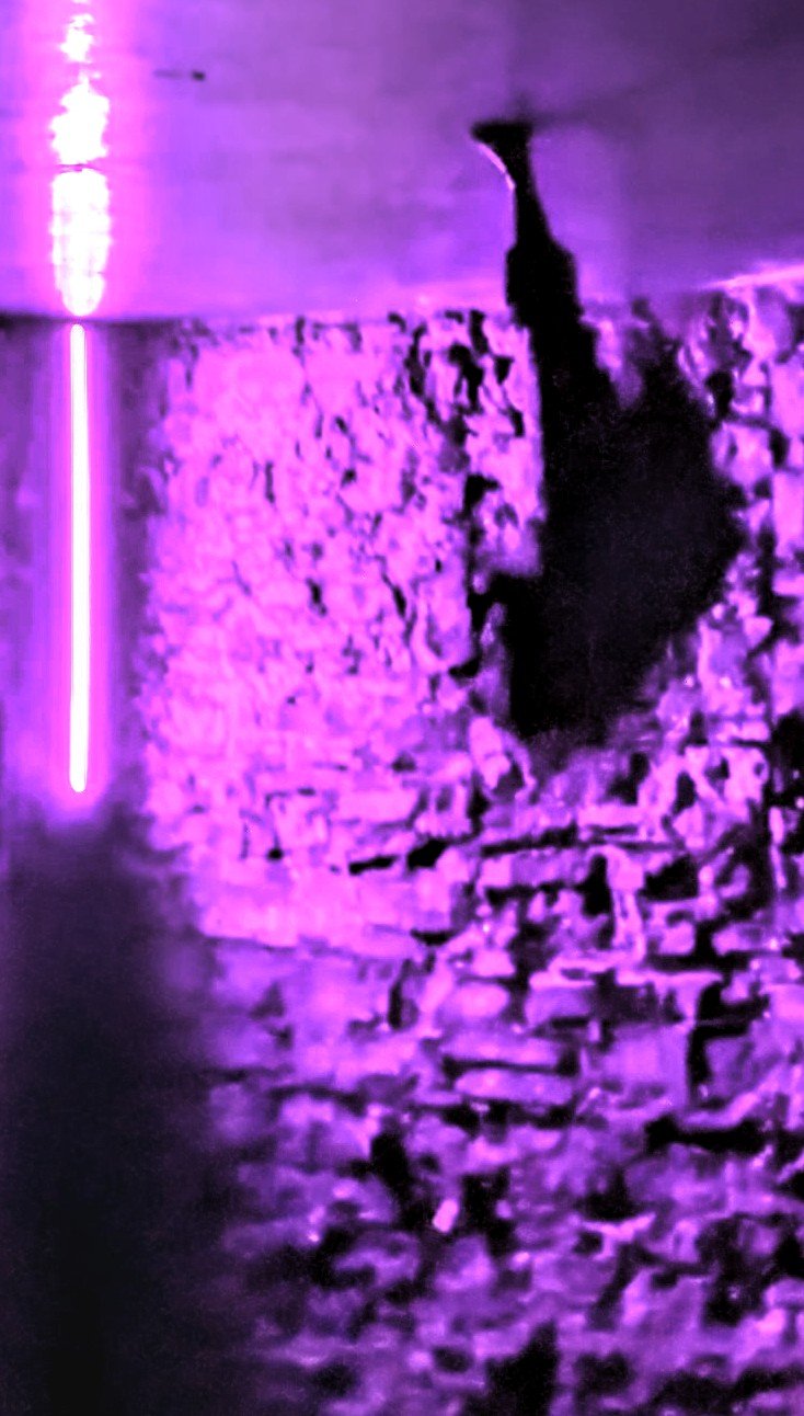 1000020529.jpg