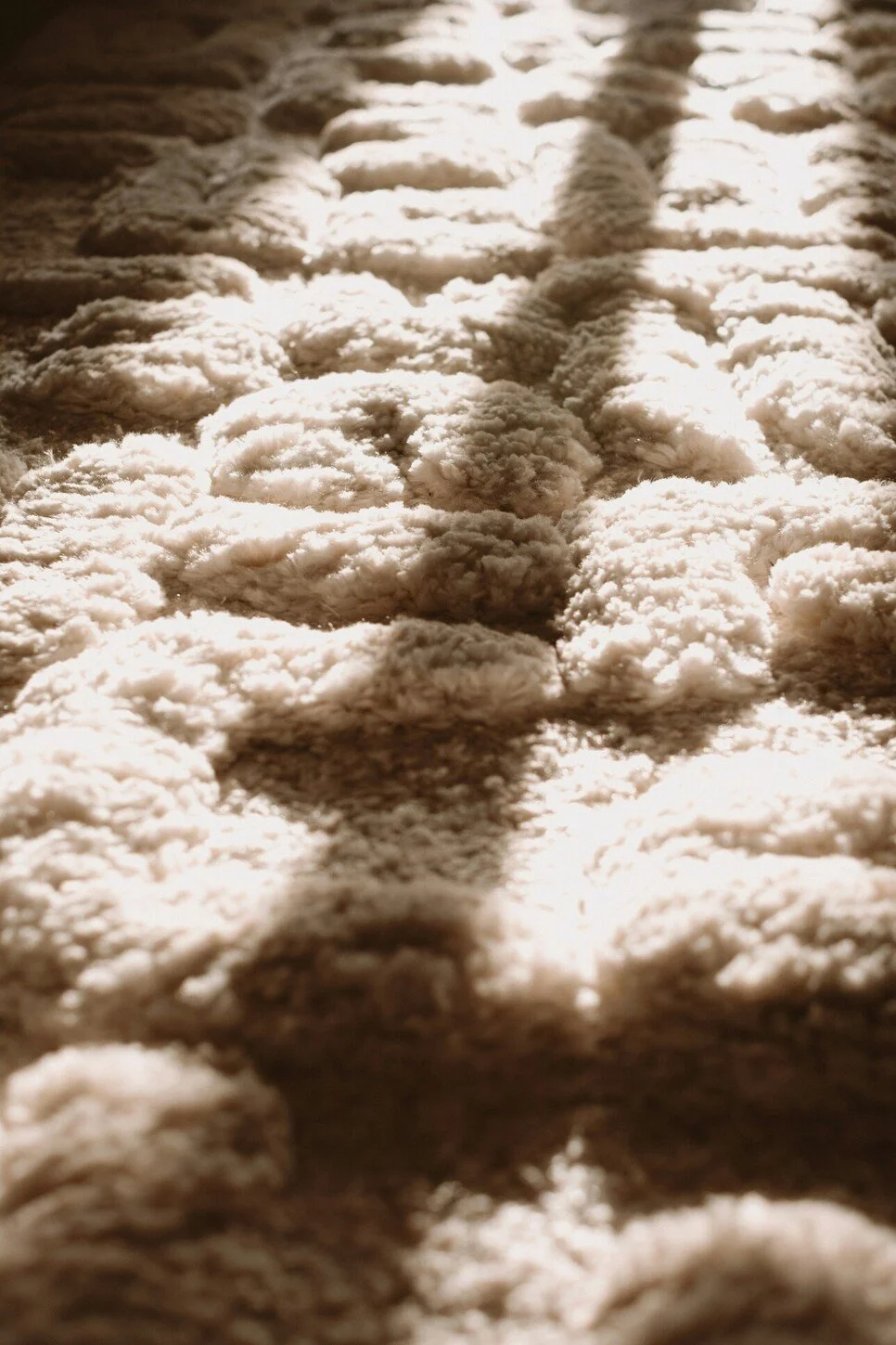 wool rug care guide