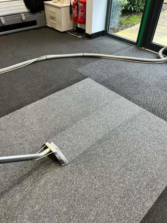 How to Choose a Professional Carpet Cleaner in Kent in 2026: A Guide