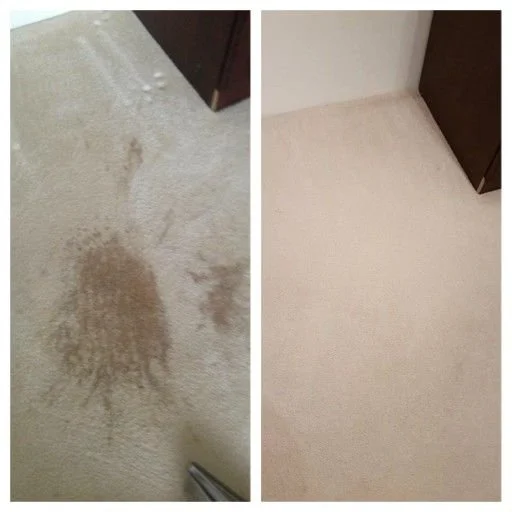 carpet stain removal service in kent
