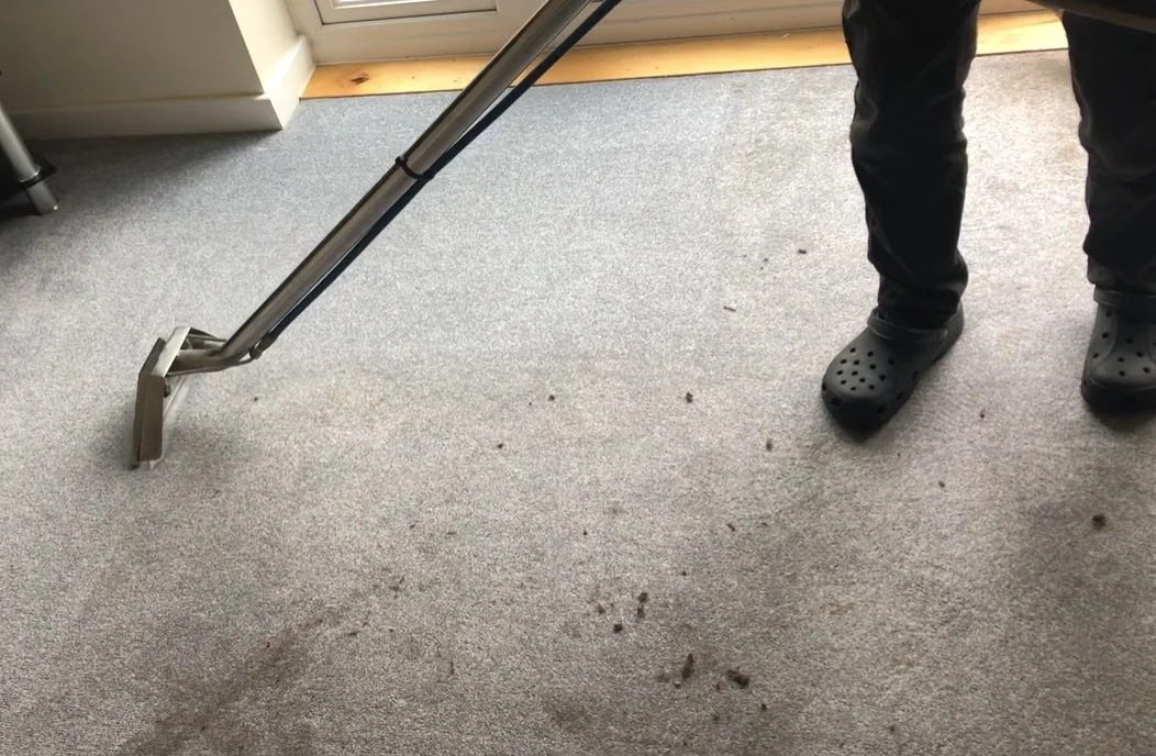 Carpet Cleaning vs Replacement: Which Is Worth Your Money?
