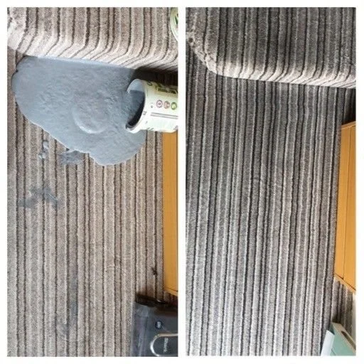 paint stain removal in ashford, kent