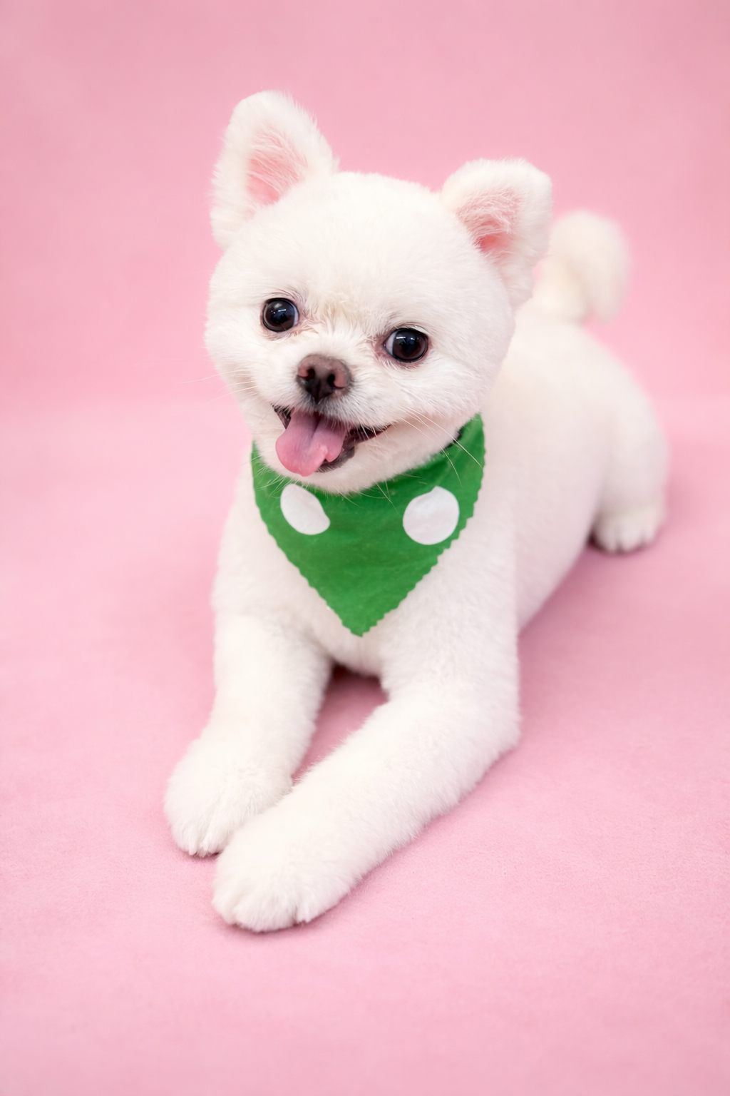 79F77039-05CD-4D8F-9CFE-35D24F71B818.png