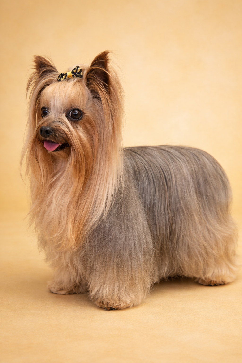 D7C348FE-3AF4-4864-B00C-74F5B919373D.png