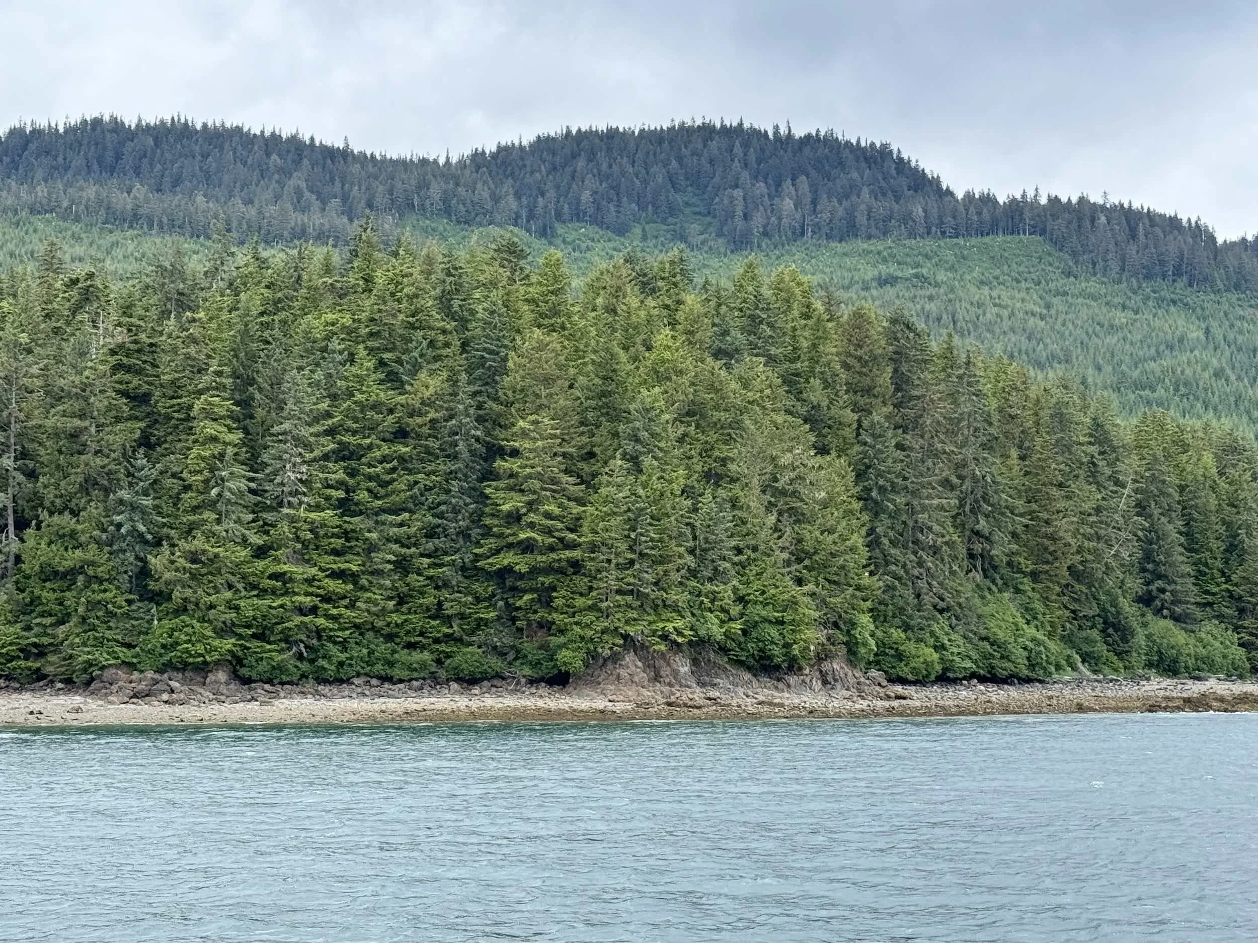 A body of water in the foreground with a dense, green forest on a shoreline, and forested hills or mountains in the background under a cloudy sky.