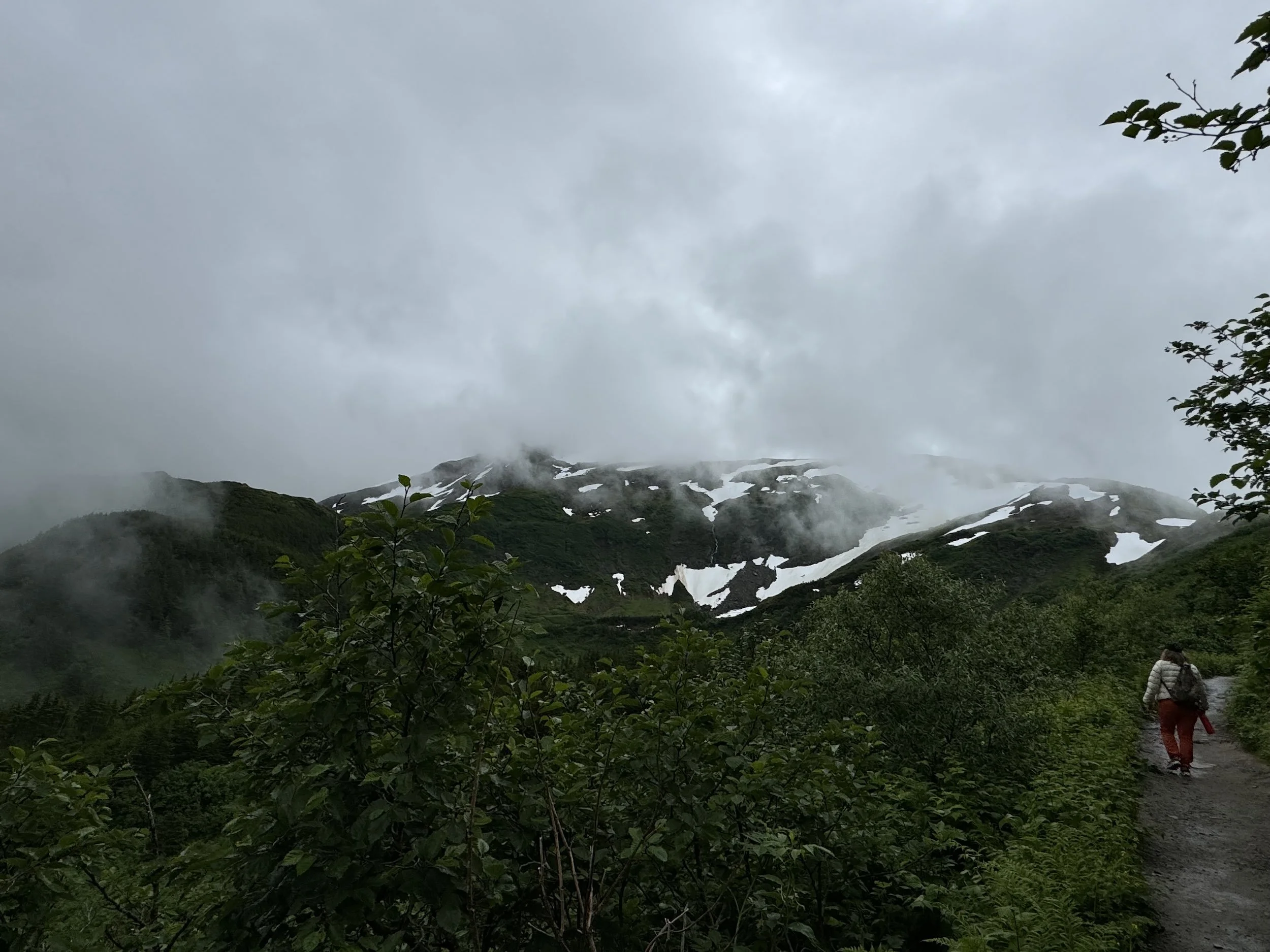 TIER 1: Training & Workshops (Capacity-Building)