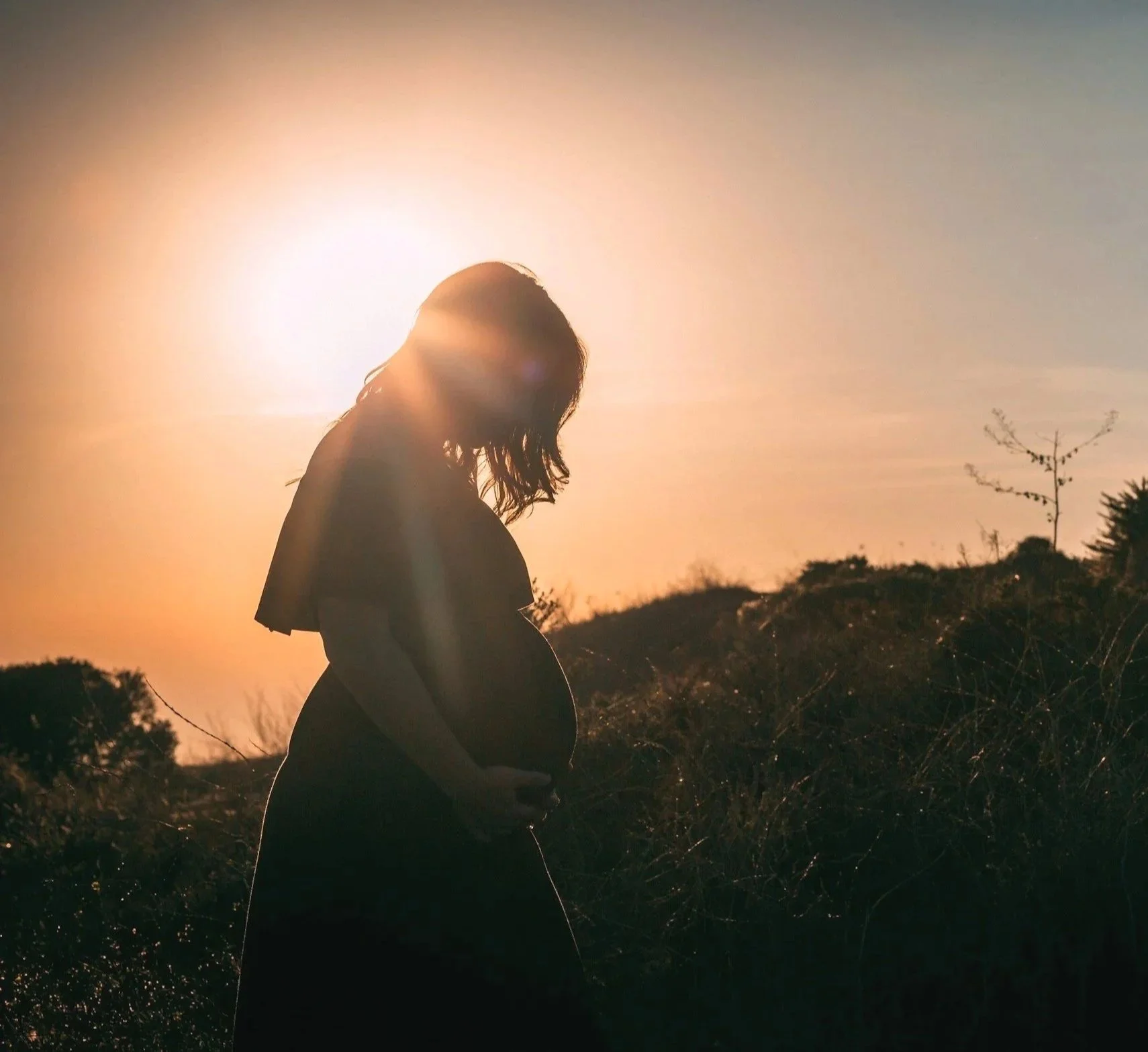 Pregnant person standing in a field at sunset, representing pregnancy counseling support.