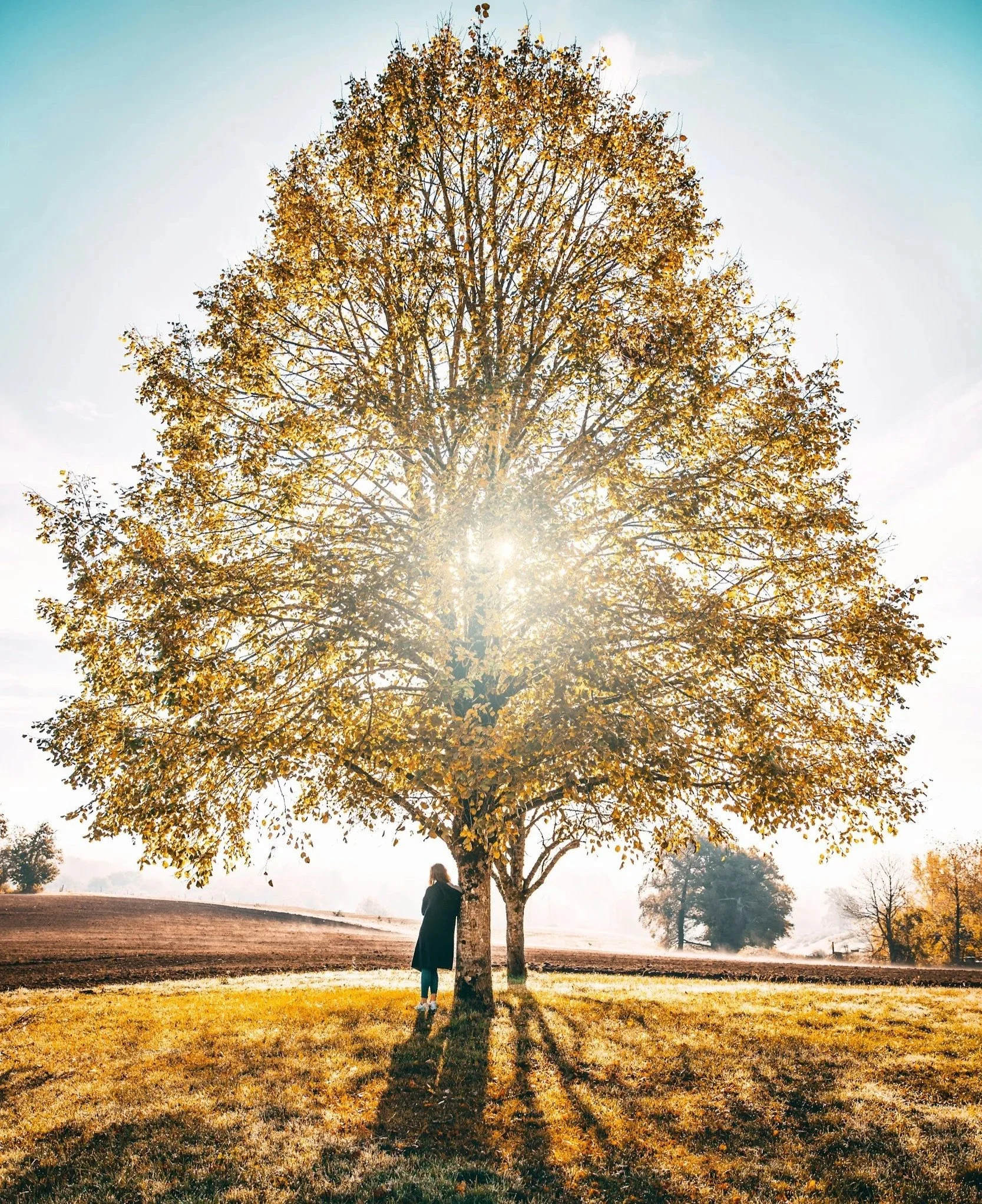 woman contemplating life under protective tree with hopeful sunlight