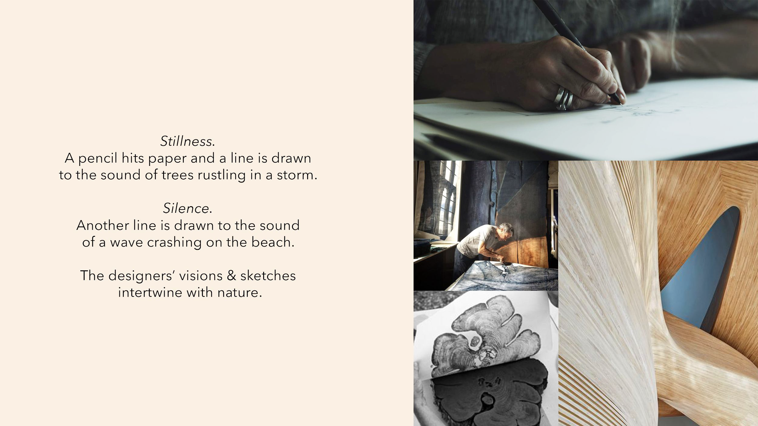 2.7. LDF_OakridgeDesigners_PitchDeck.v2_compressed_Page_07.png