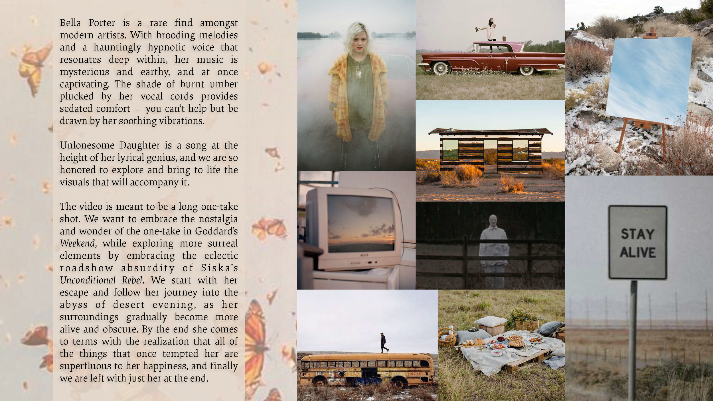 x10. UNLONESOME DAUGHTER_PitchDeck_compressed_Page_02.png