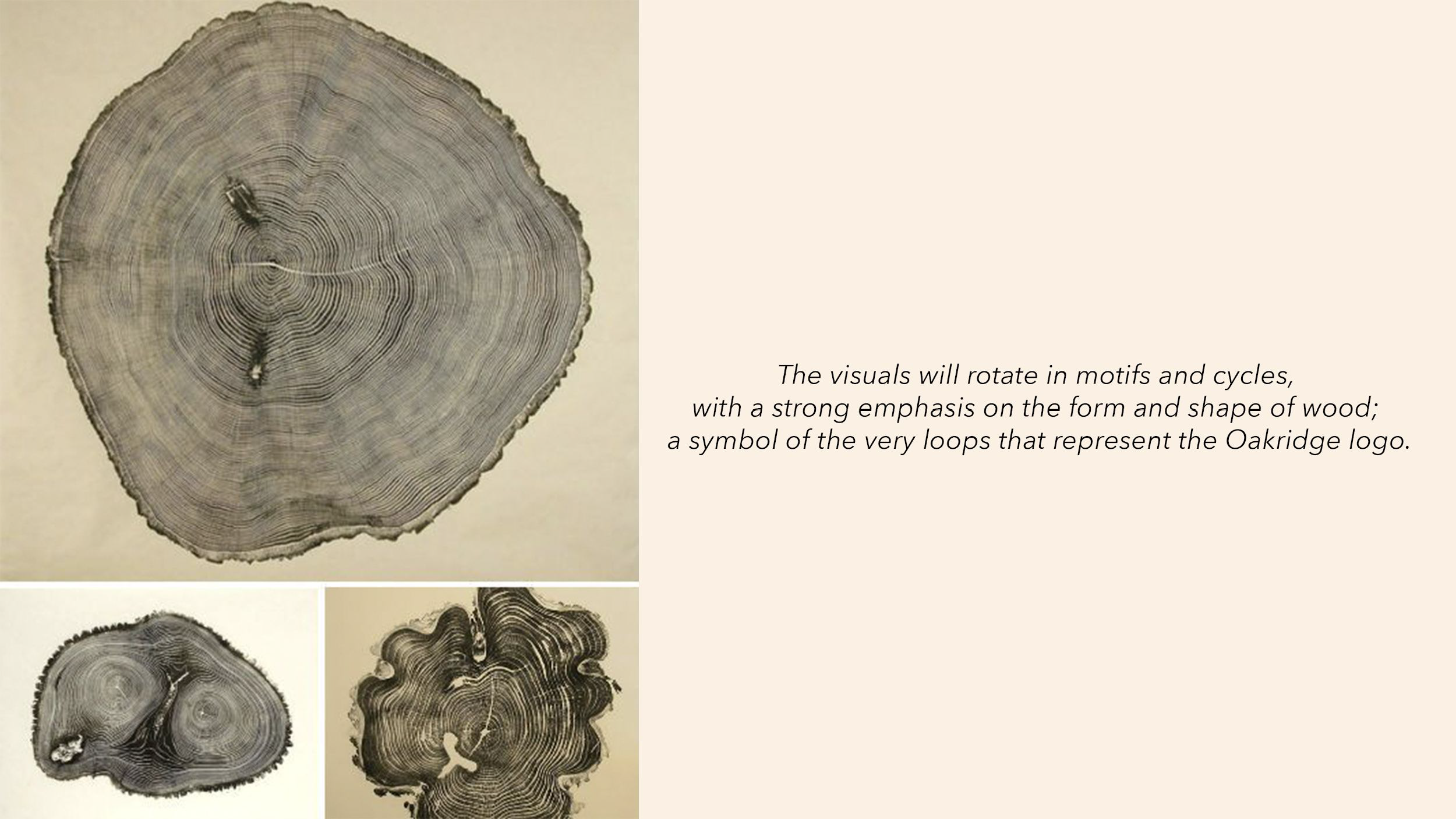 2.7. LDF_OakridgeDesigners_PitchDeck.v2_compressed_Page_08.png