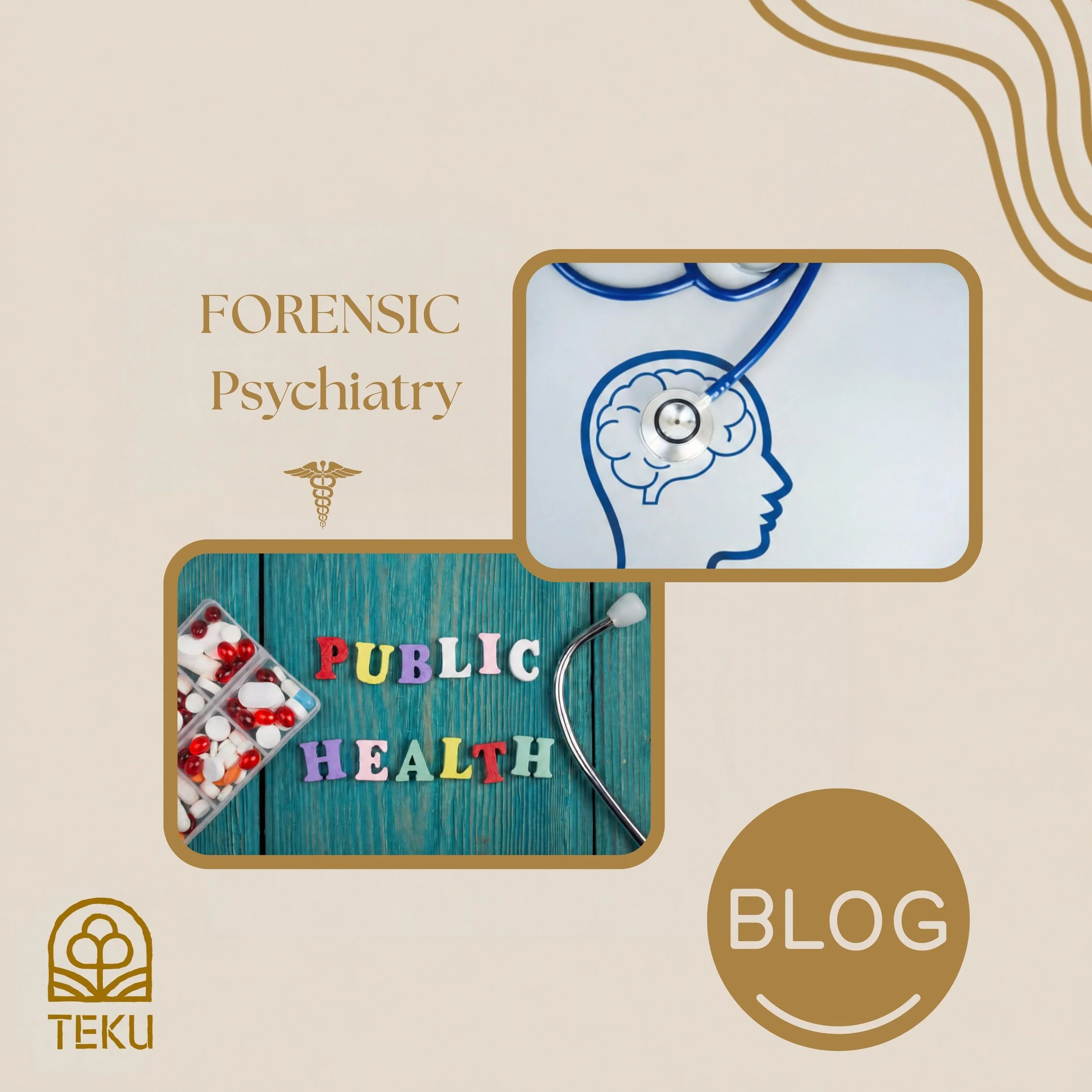 Forensic Psychiatry as Public Health: Four Leaders Expanding the Role of Psychiatry