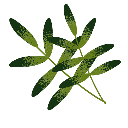 Illustration of green leaves with yellow dotted pattern on a black background.
