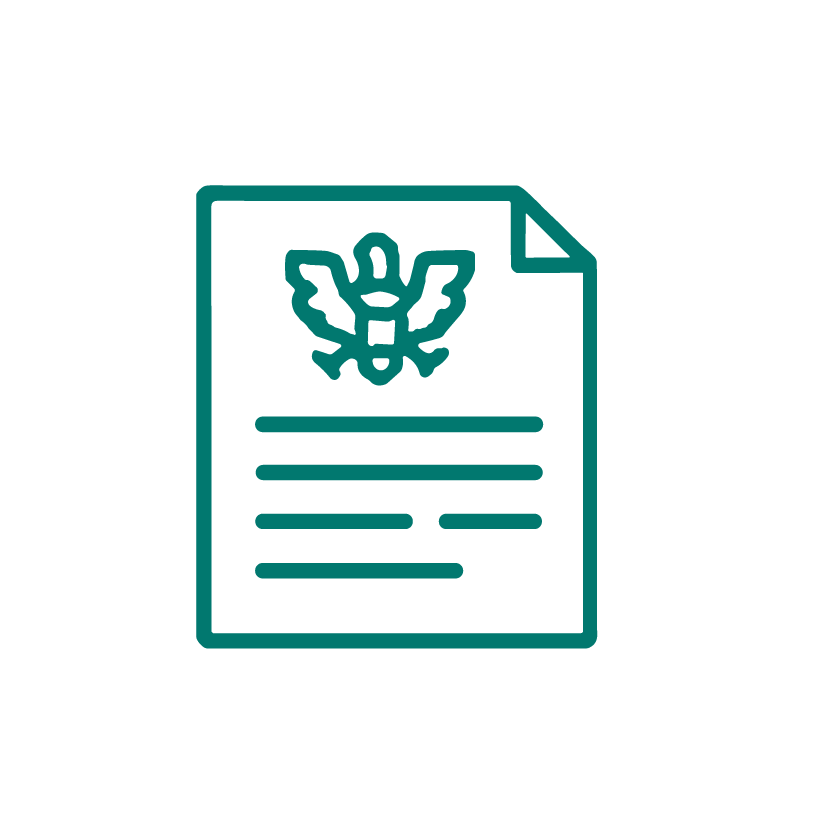 Icon of a document with a bee symbol on top.