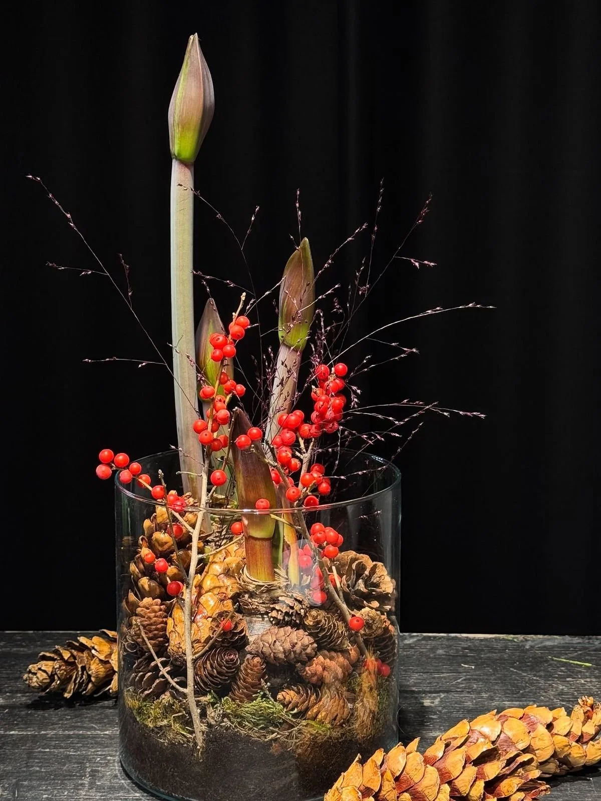 Amaryllis, winter greenery & branches