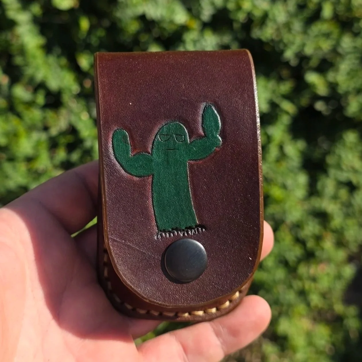 Hair Brush Cactus Man 20250704_172210.jpg