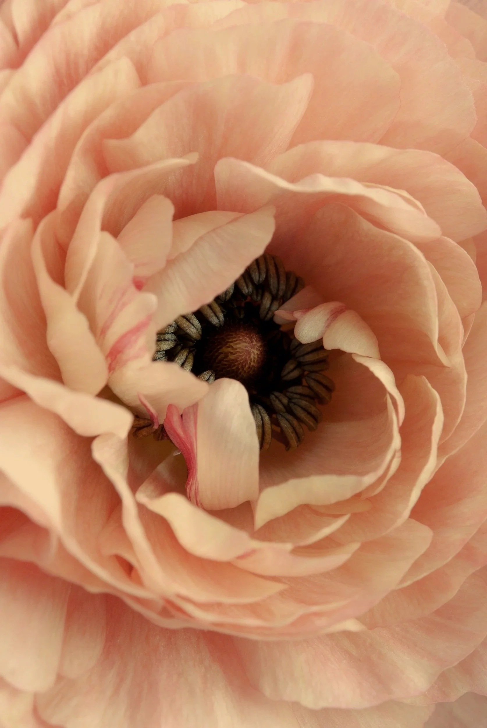 Paarberatung für mehr Verbindung, Verständnis und Entwicklung. Ein sicherer Raum für Beziehung, Konflikt und Nähe.