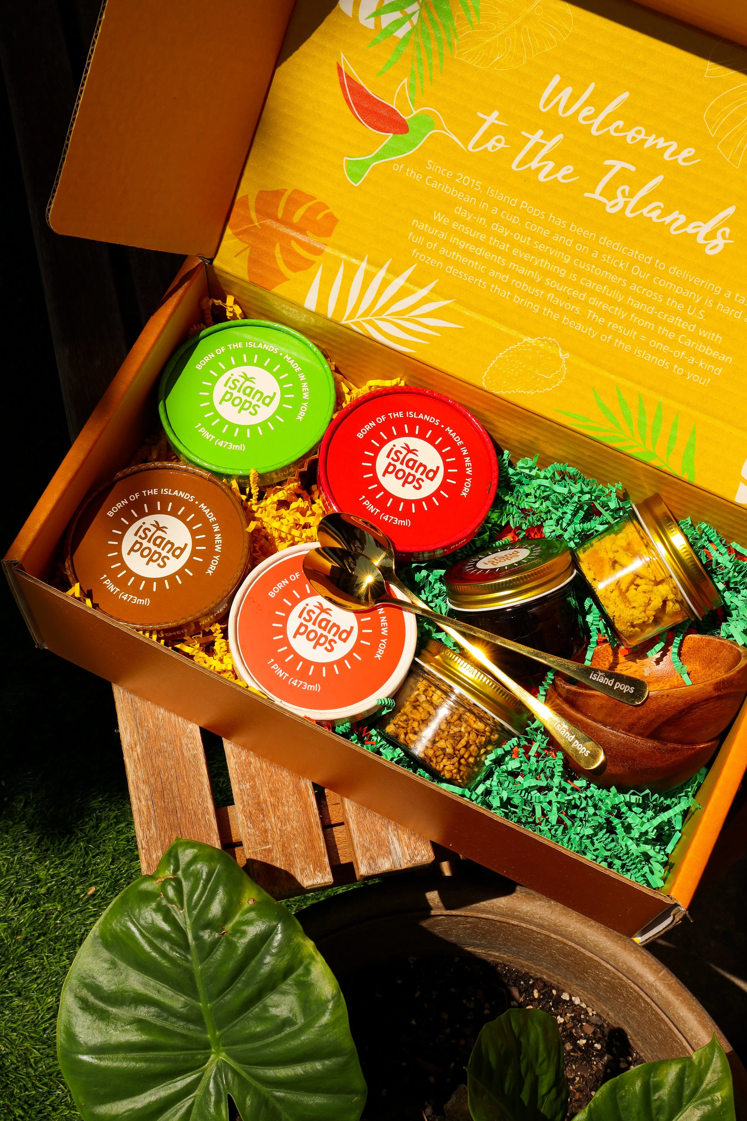 Open gift box with jars of island pops ice cream and toppings, with a spoon, inside decorative yellow box and a potted plant in the foreground.
