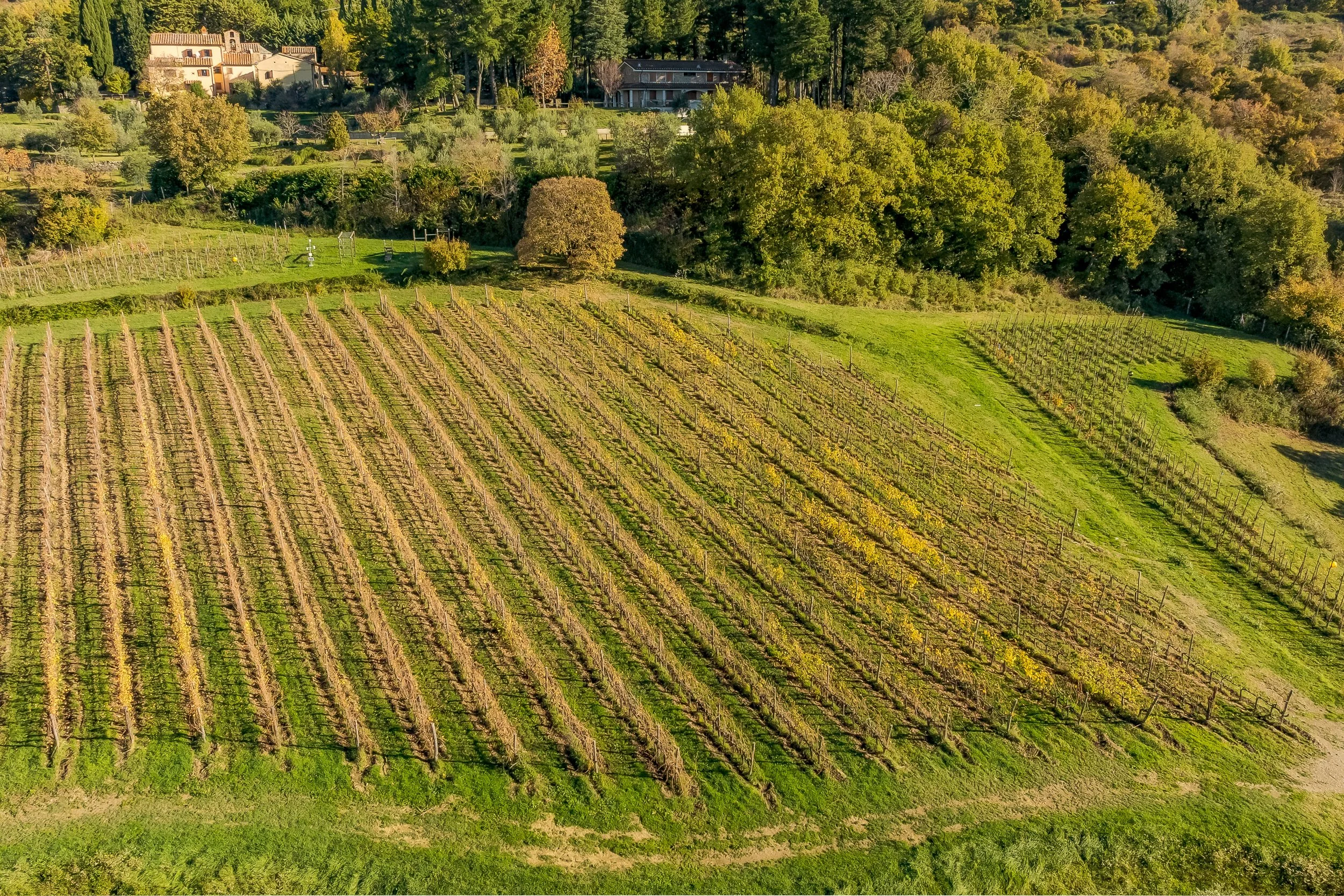 Fotografo hotel Toscana, Vistalux visual, foto con drone, vigna hotel