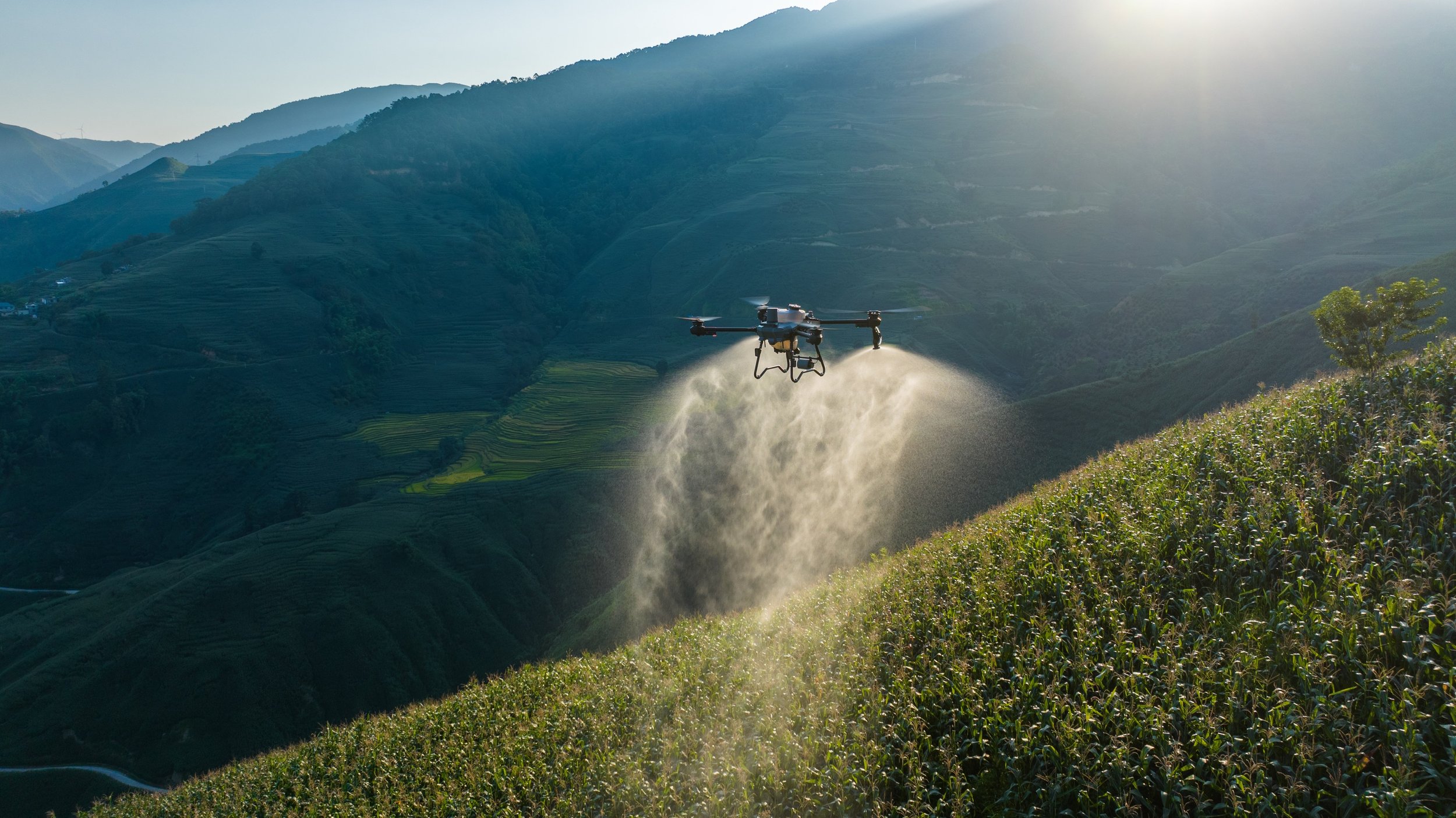 Drone agricolo Toscana