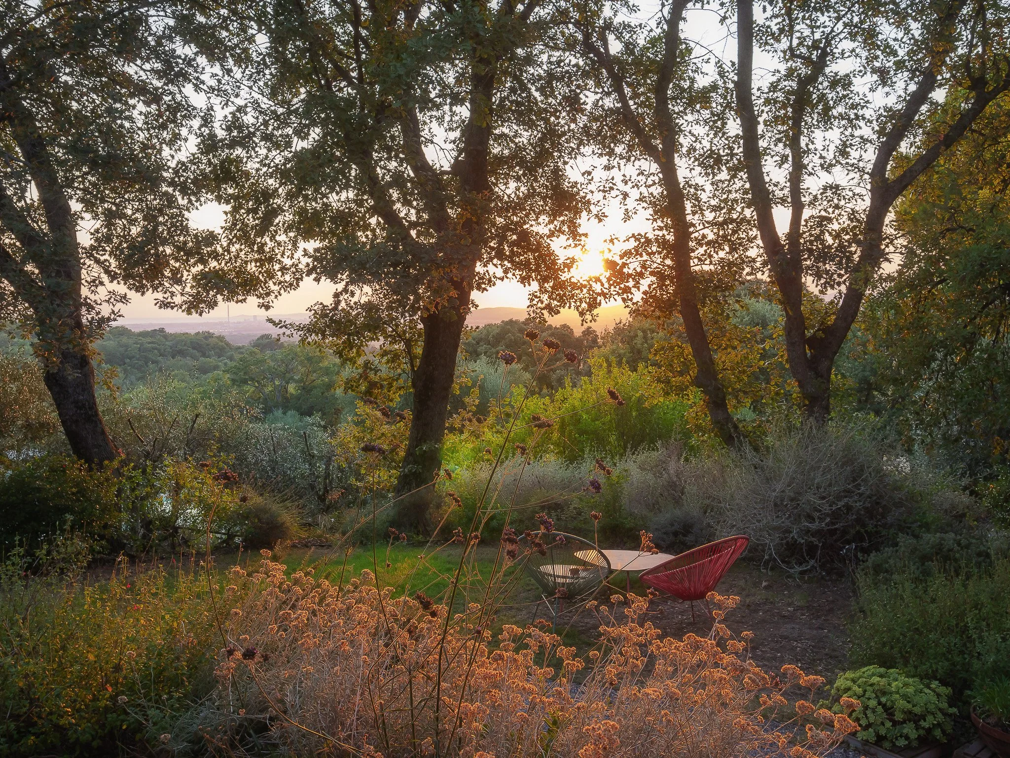 Fotografo per agriturismi in Toscana. Fotografia professionale per strutture ricettive in Toscana. Foto degli ambienti esterni, panorama sulla Maremma Toscana