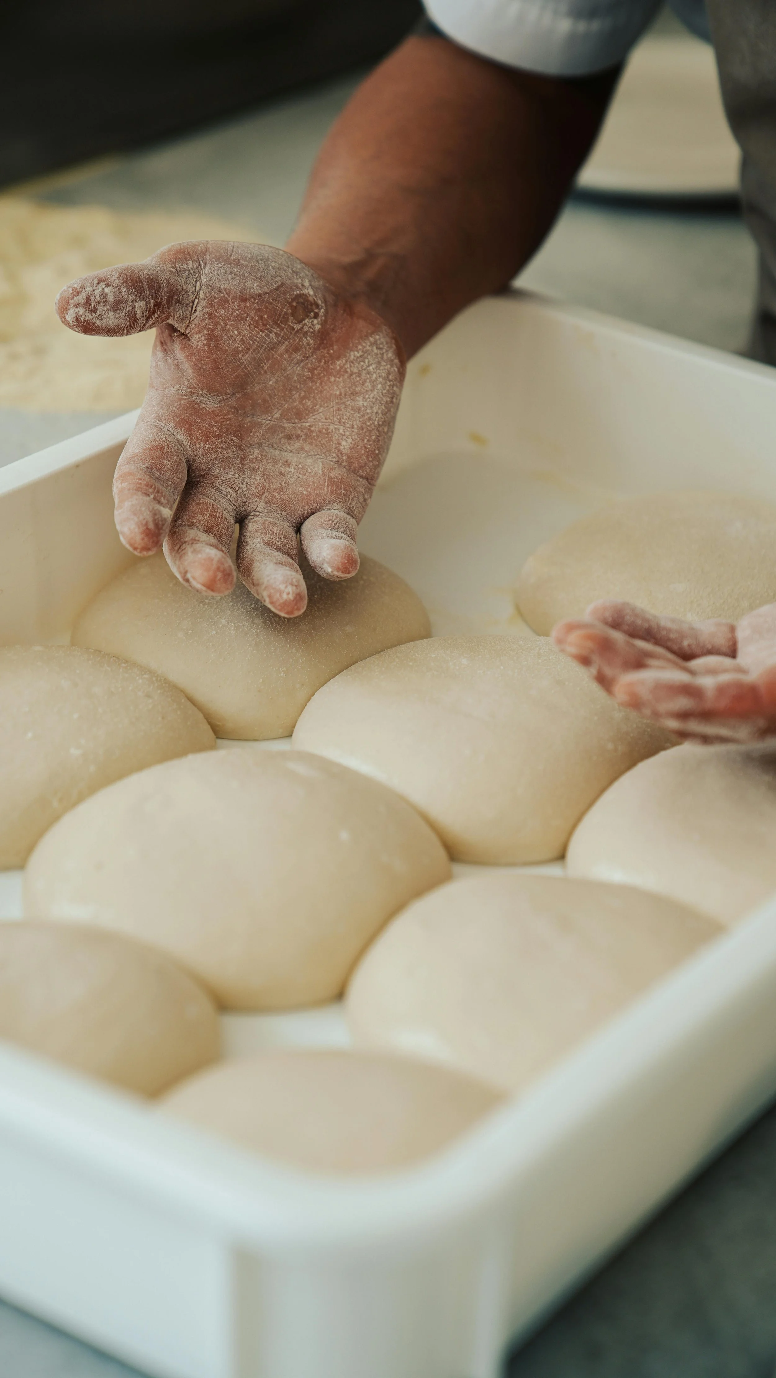 Forno-Pane-Pagnotta-lievitazione-Panetto-Fornaio-Farina-piatti-Toscana-Vistalux.jpg