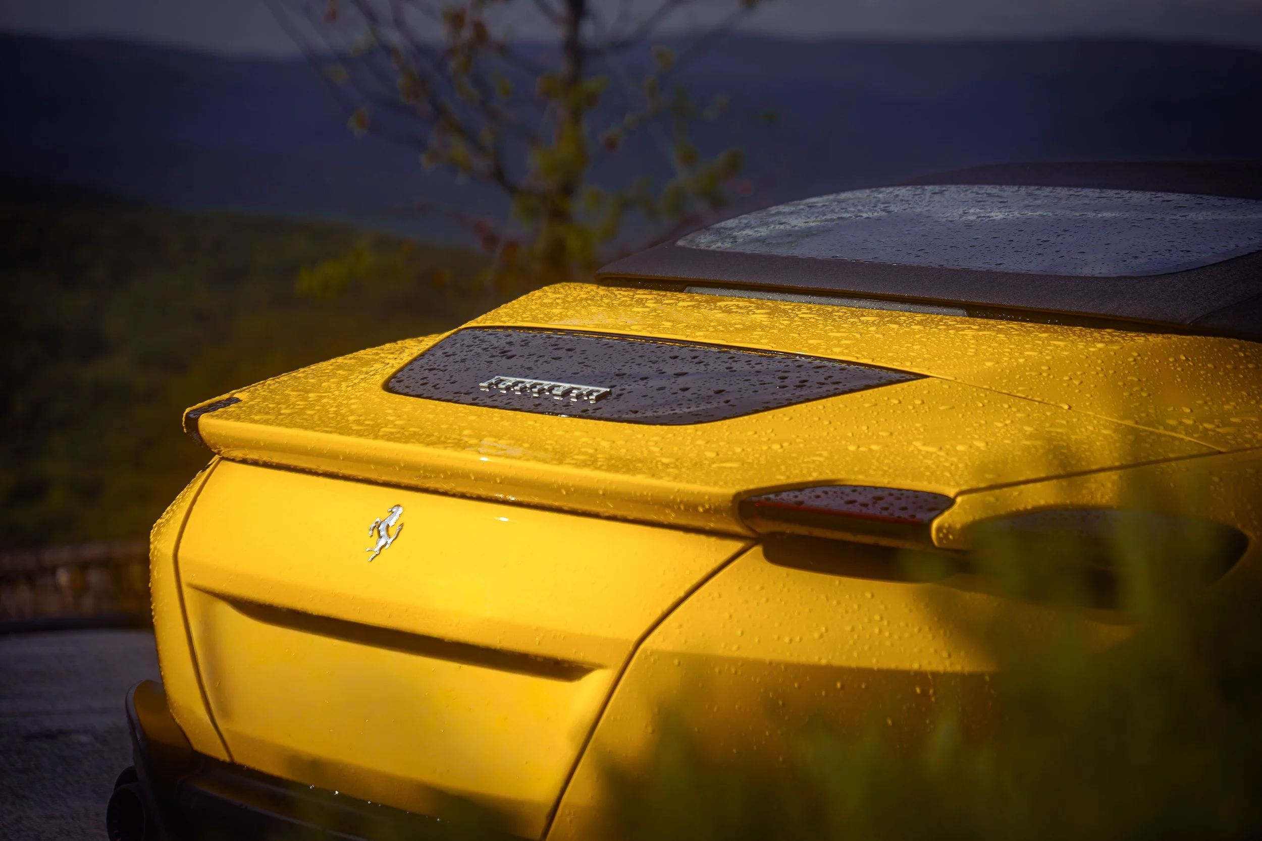 Fotografo per eventi corporate, fotografia professionale per eventi e ritiri aziendali. Ferrari Portofino, retro.