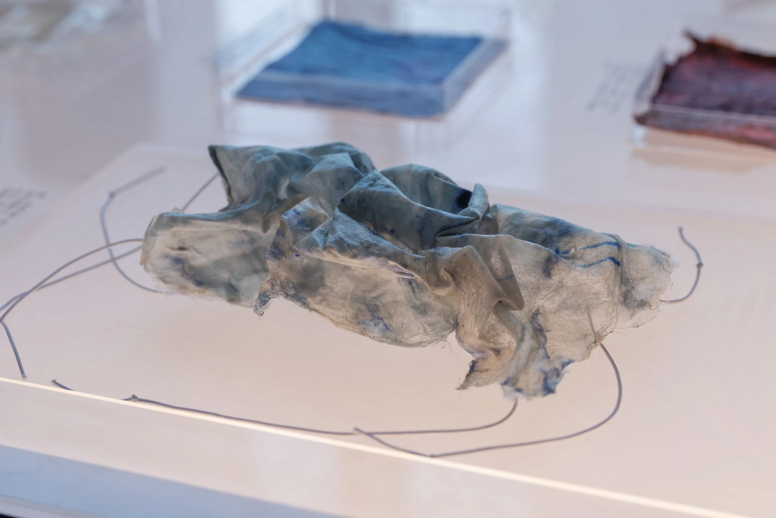 MDE STU-1232 Exhibits #071.jpg