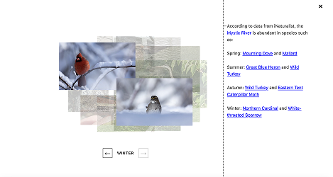 Screenshot 2025-12-03 at 12.58.24 PM 1.png