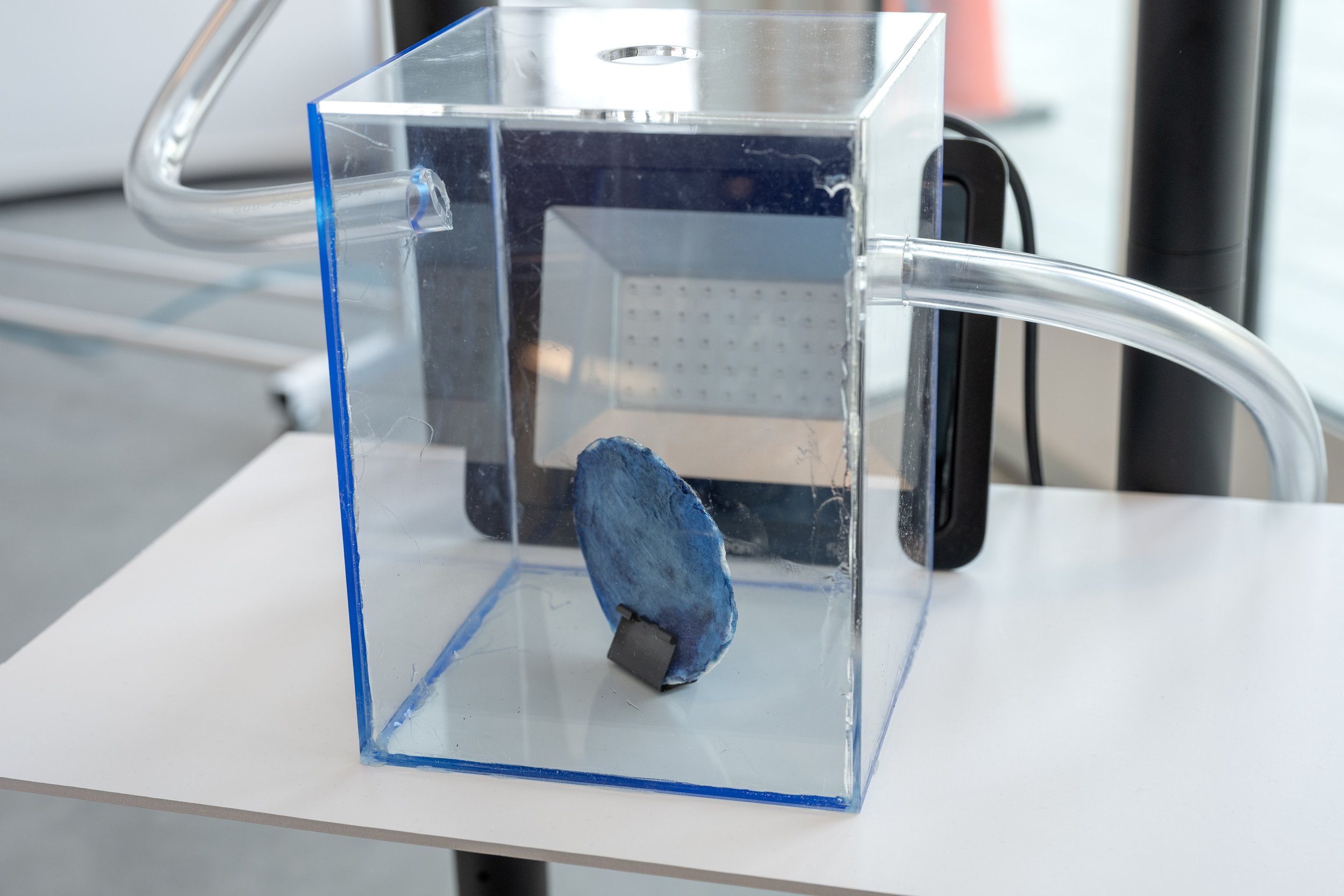 MDE STU-1232 Exhibits #076.jpg