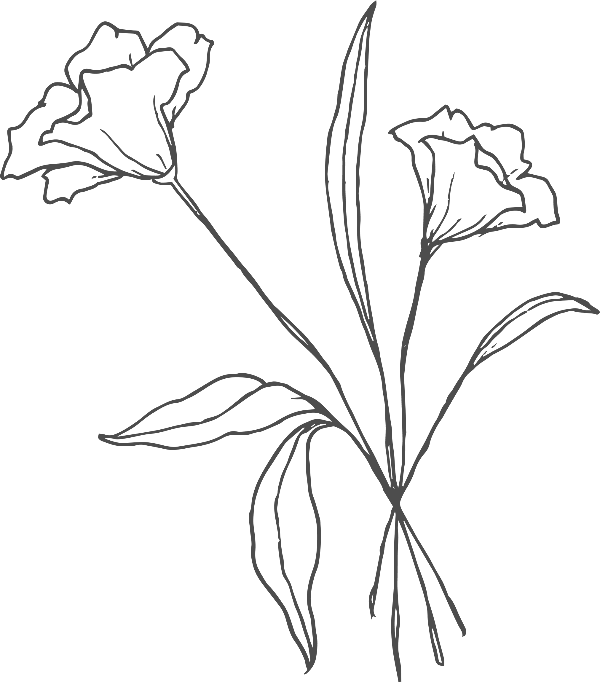 1 - squarespace size.png