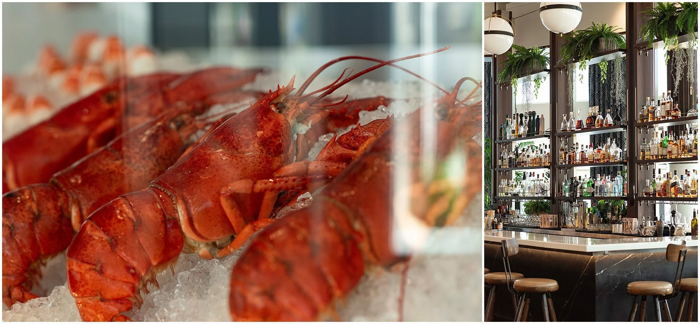 Hamilton Princess Resort Bermuda Wedding_©Fiander Foto_013.jpg