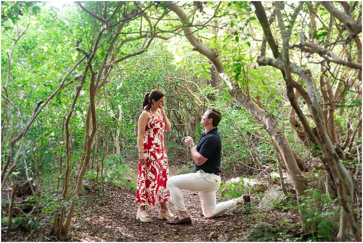 Proposal: B &amp; A - Tom Moore's Jungle &amp; Blue Hole Park