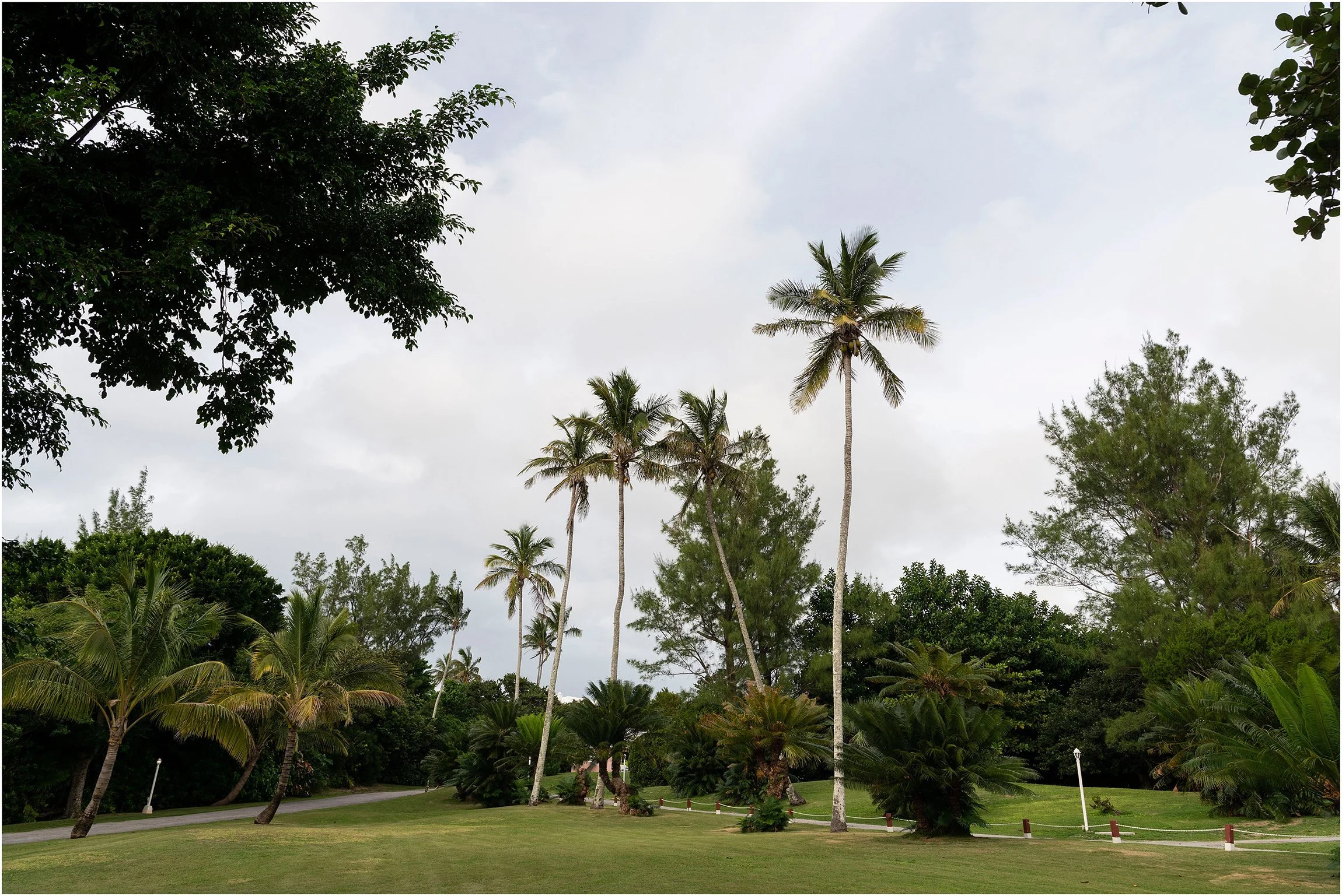 Coral Beach Bermuda Wedding_©FianderFoto_053.jpg