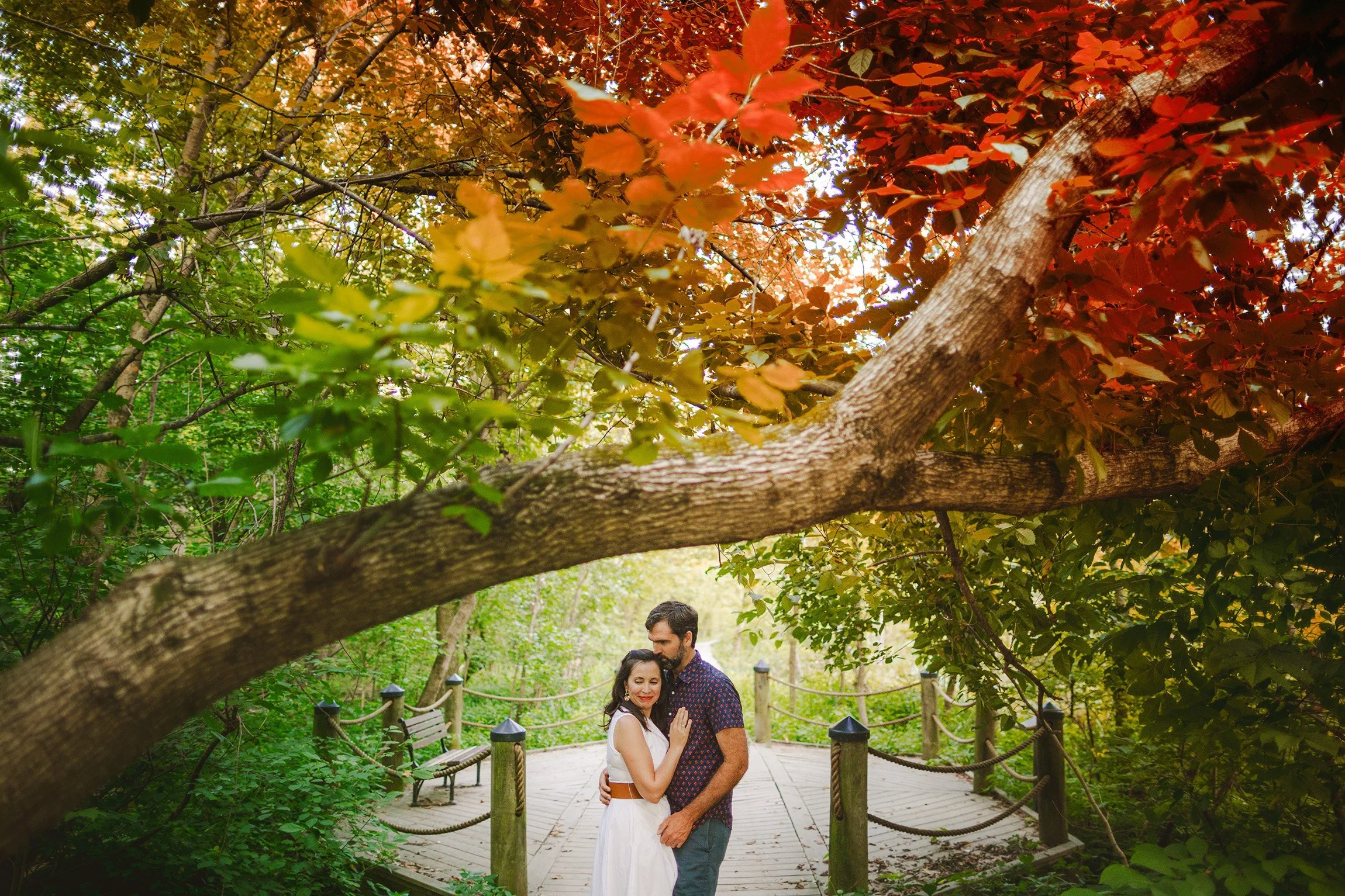 Washington DC Wedding Photographer.jpg