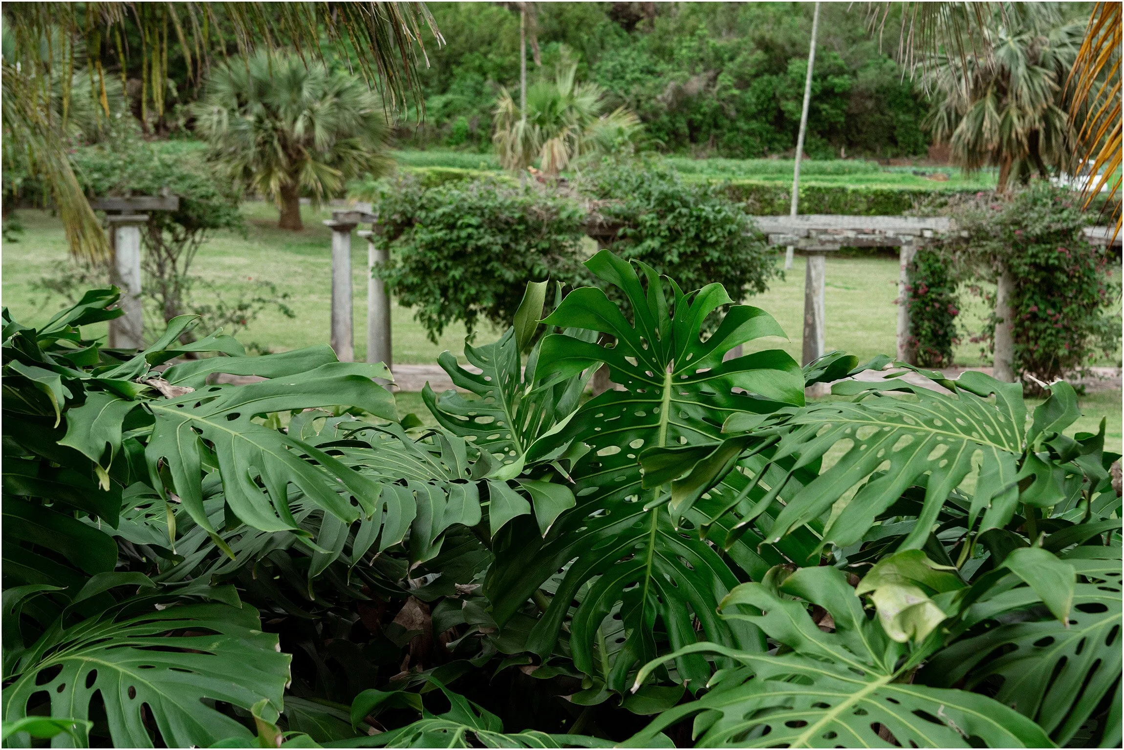 Bermuda Aquarium Wedding_©FianderFoto_013.jpg