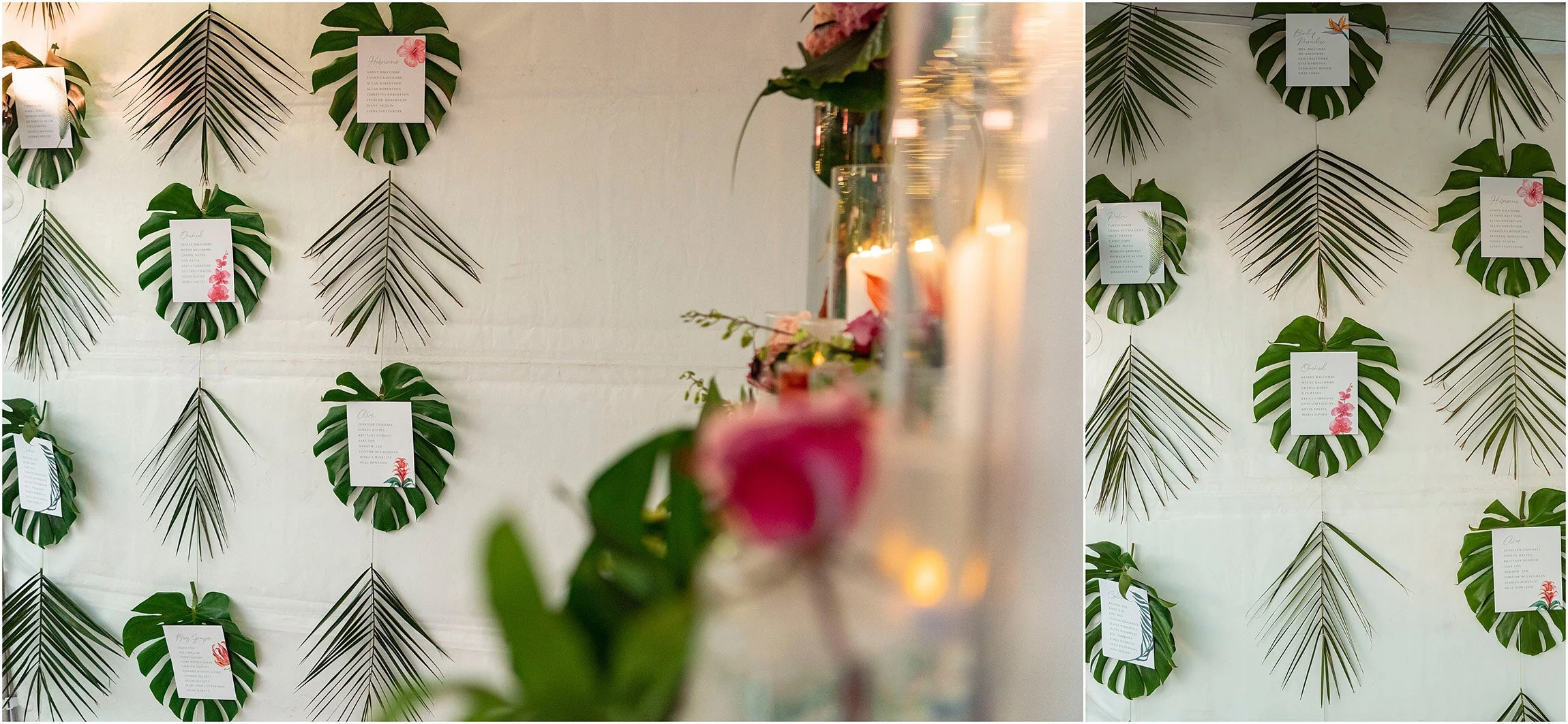 Hawkins Island Bermuda-Wedding-©FianderFoto_094.jpg